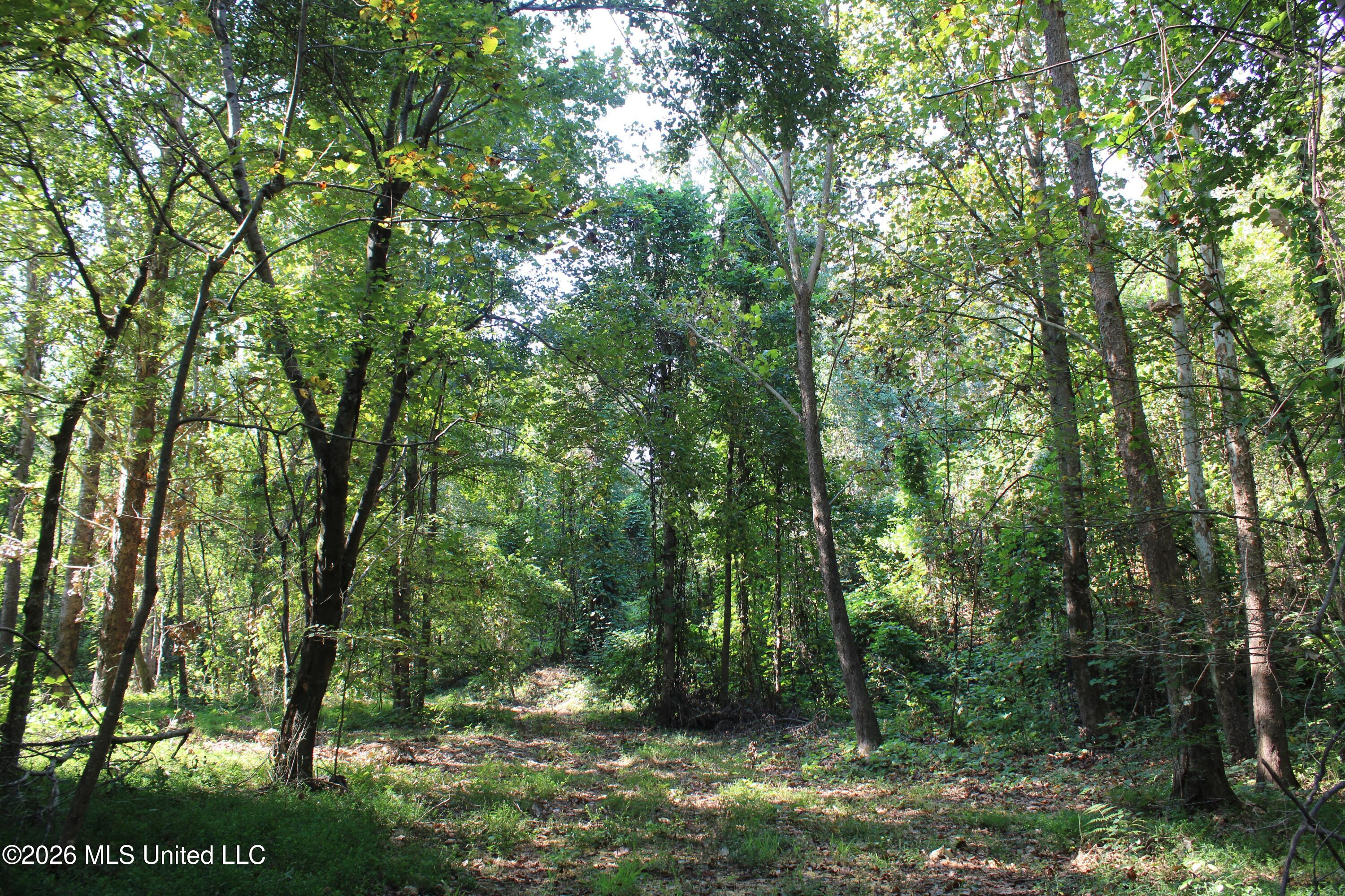 6900 Hwy 370 Property Photo 45