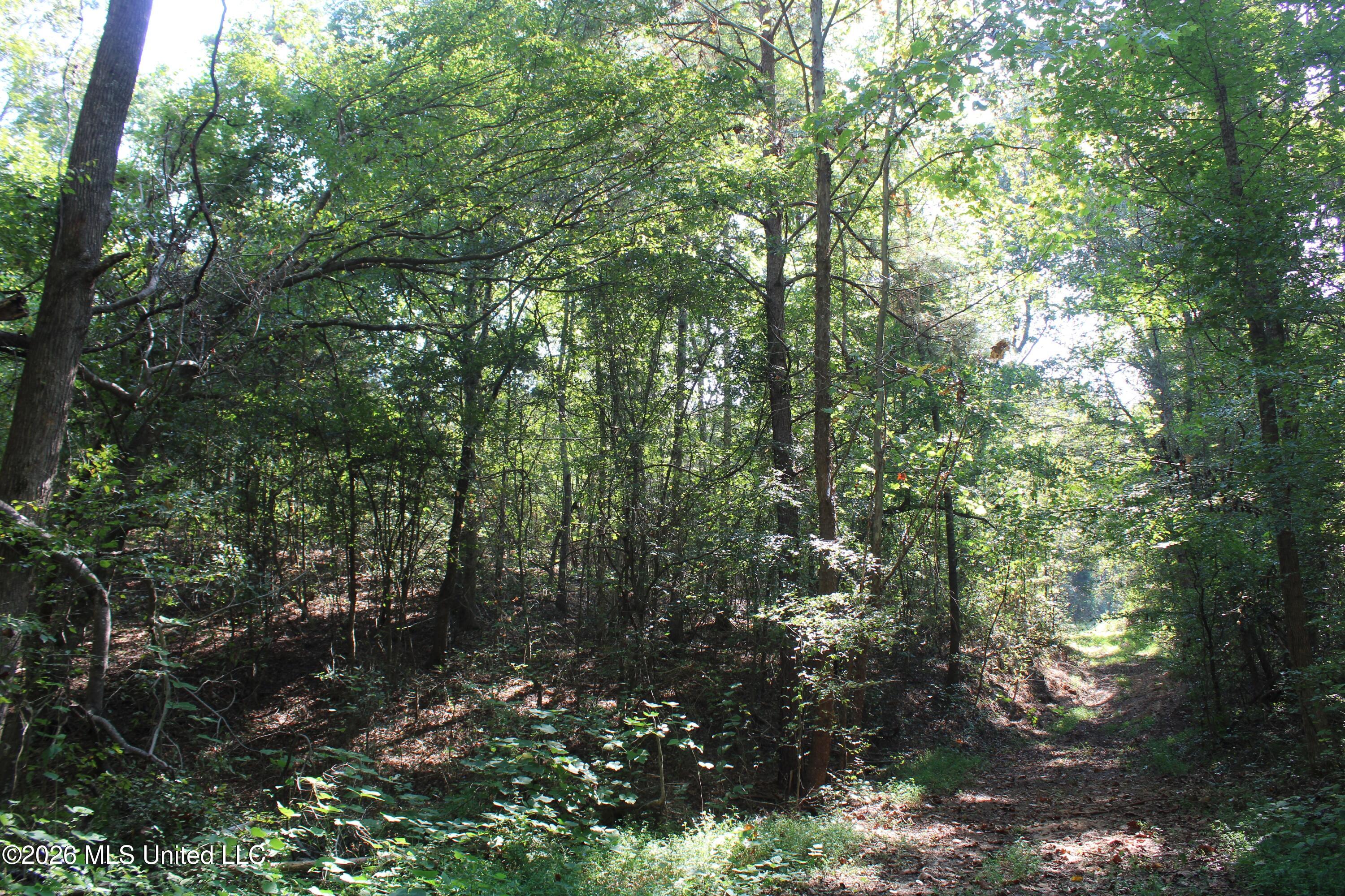 6900 Hwy 370 Property Photo 46