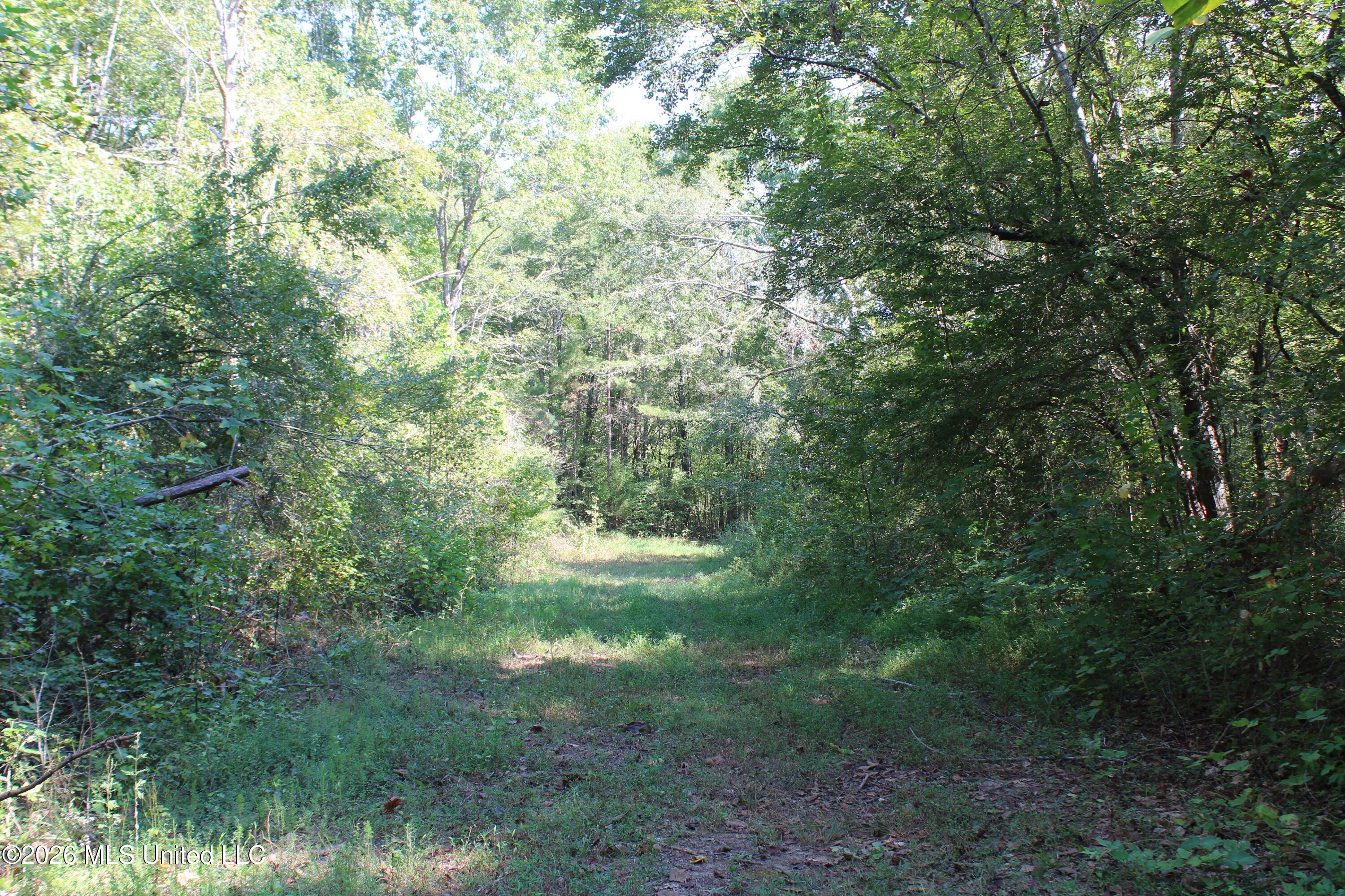 6900 Hwy 370 Property Photo 47
