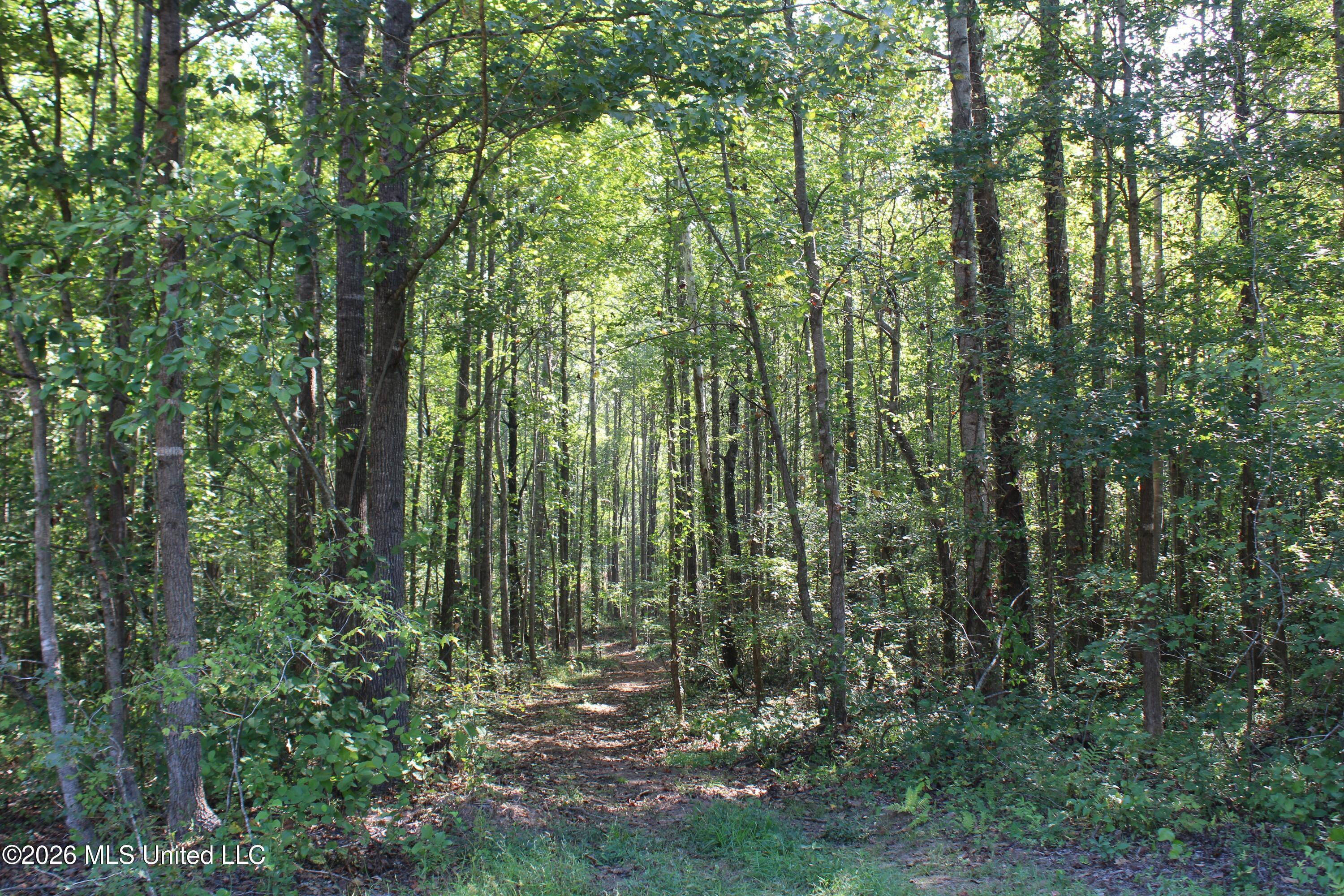 6900 Hwy 370 Property Photo 48