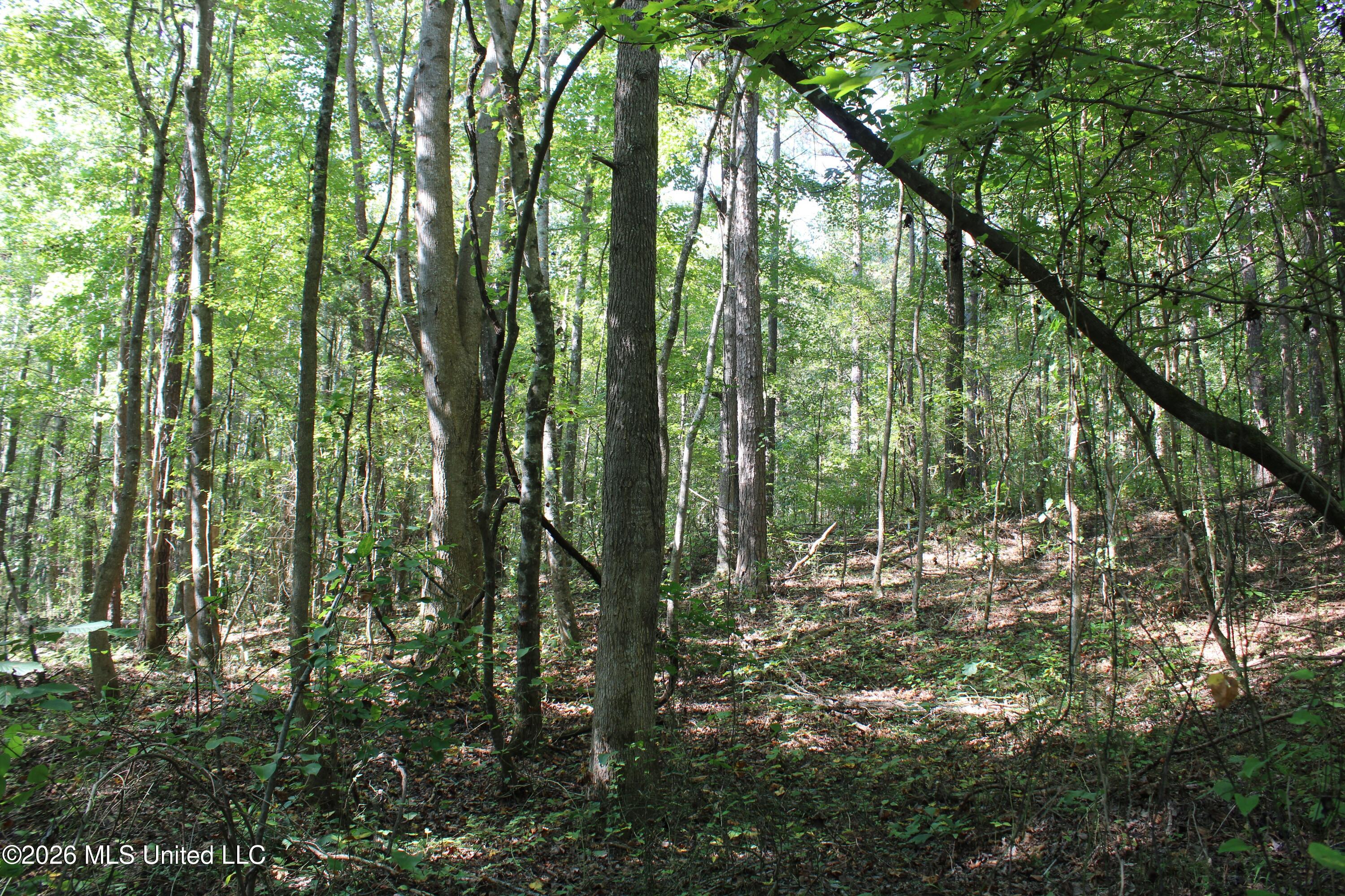6900 Hwy 370 Property Photo 50