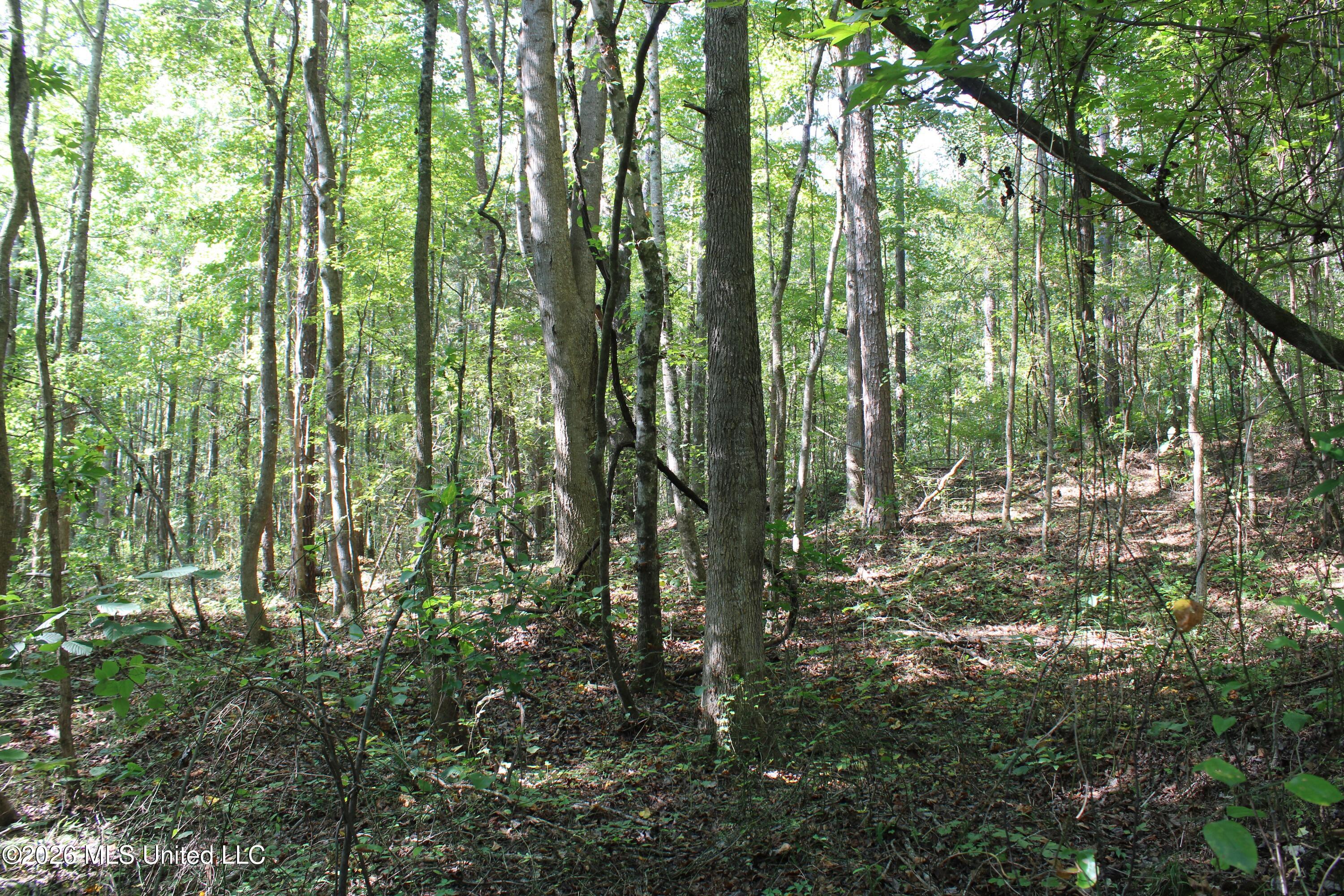 6900 Hwy 370 Property Photo 51