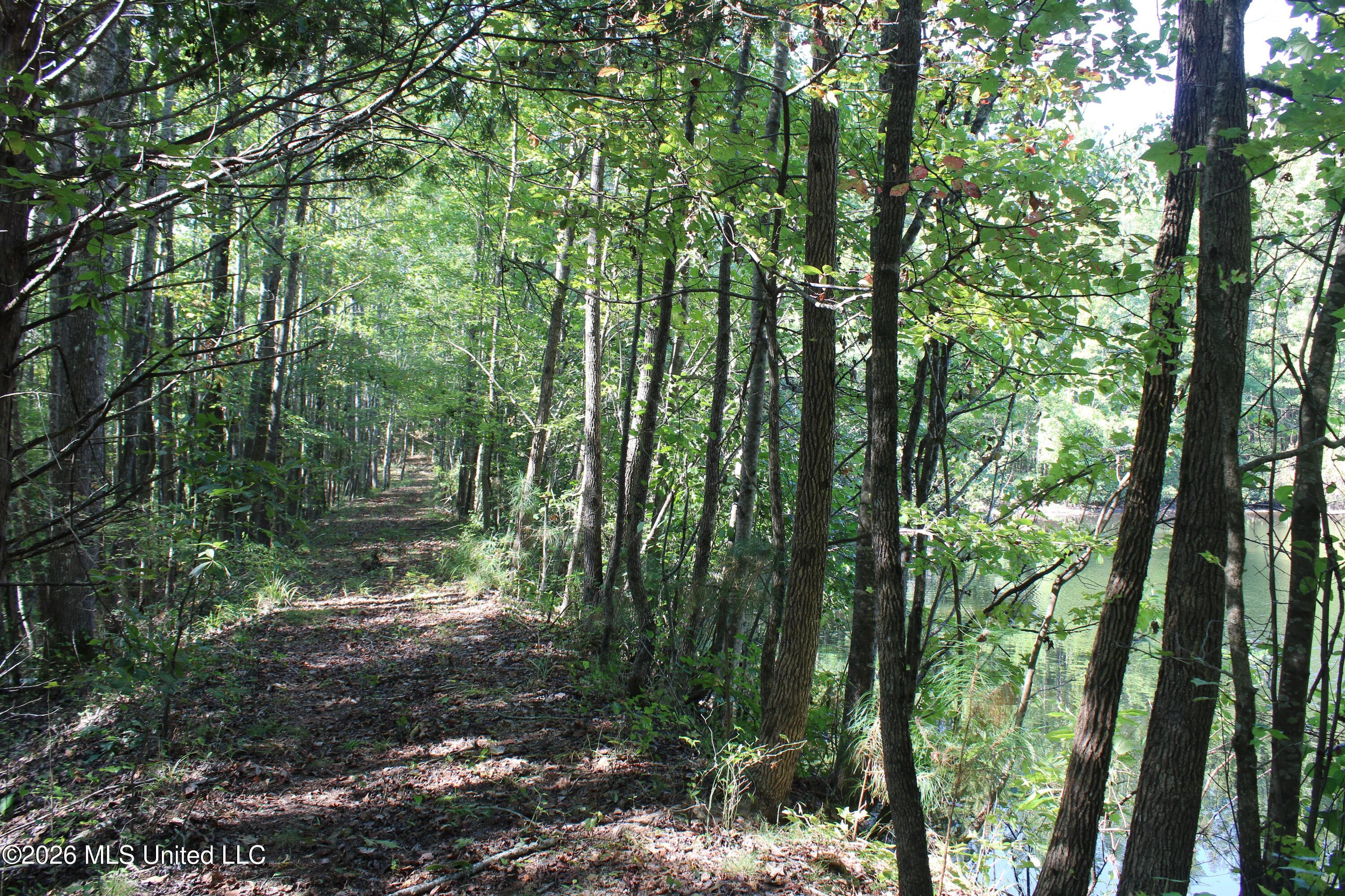 6900 Hwy 370 Property Photo 52