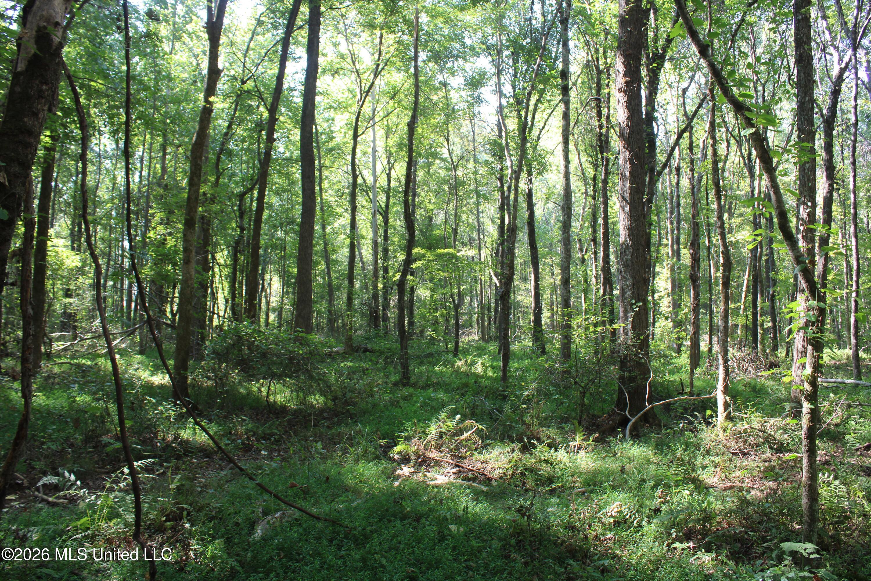 6900 Hwy 370 Property Photo 53
