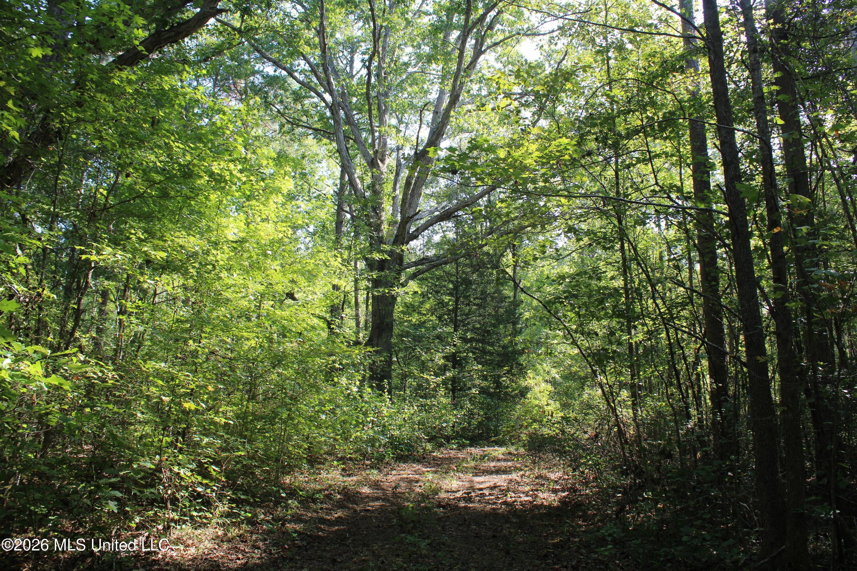 6900 Hwy 370 Property Photo 54