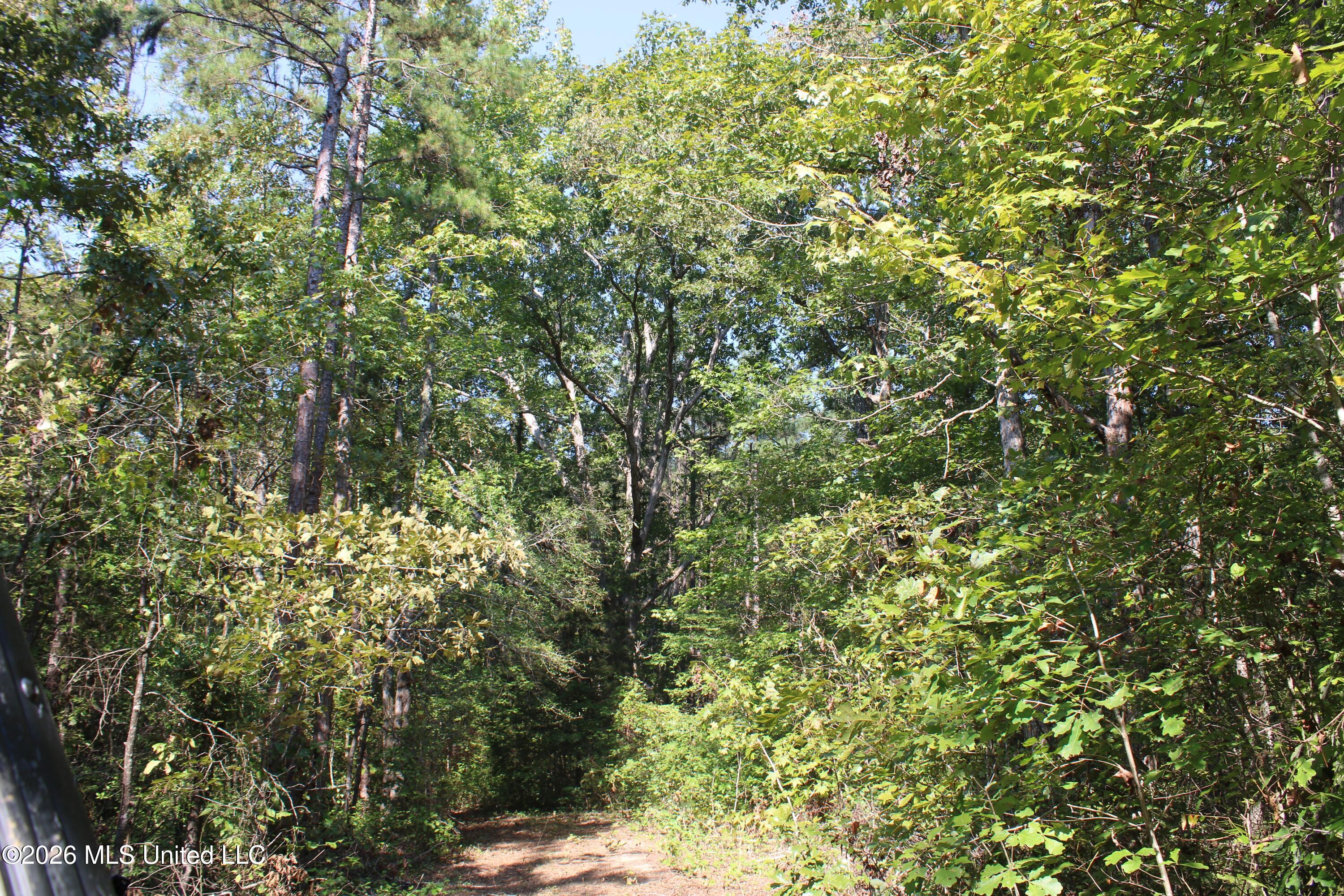 6900 Hwy 370 Property Photo 55
