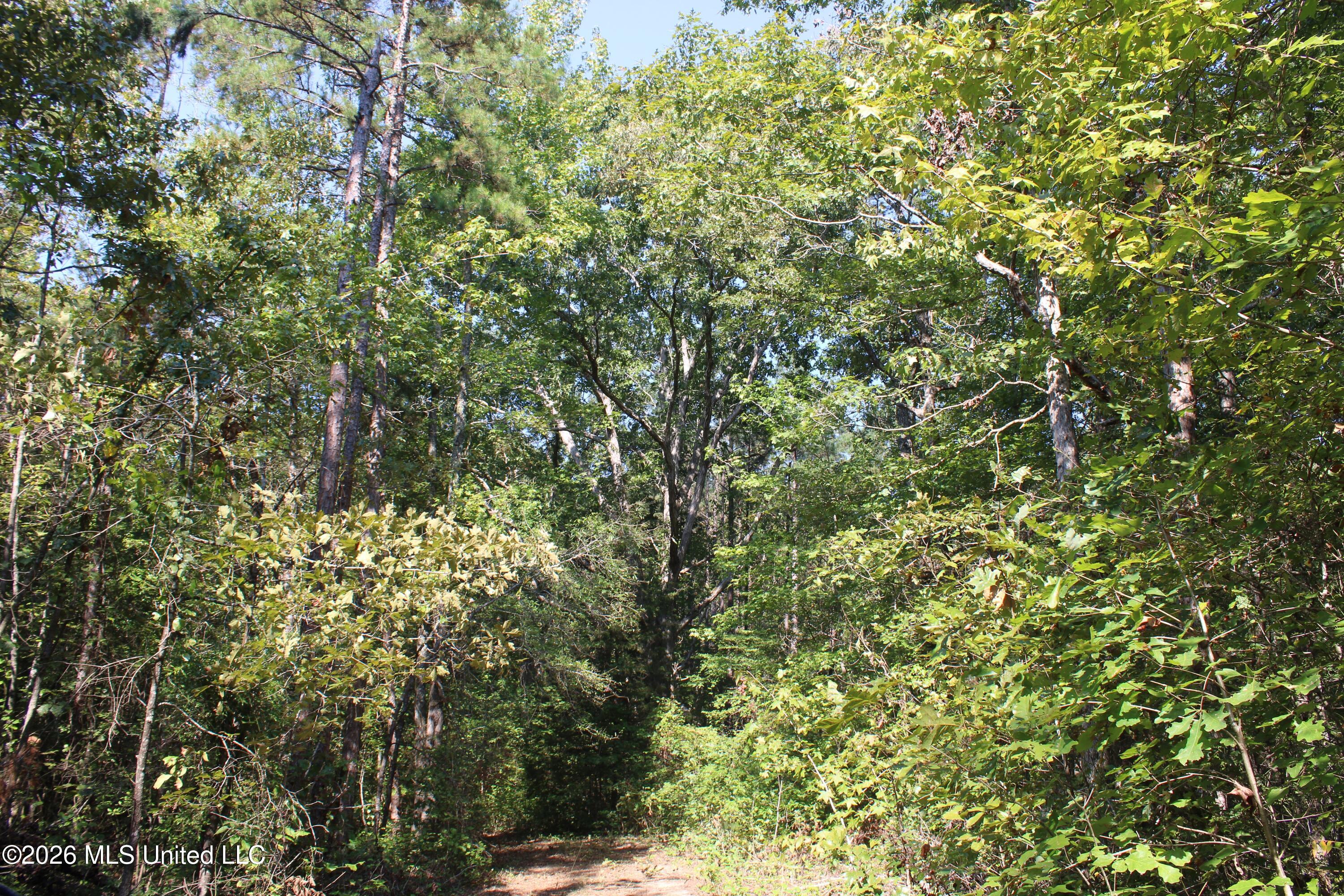 6900 Hwy 370 Property Photo 56