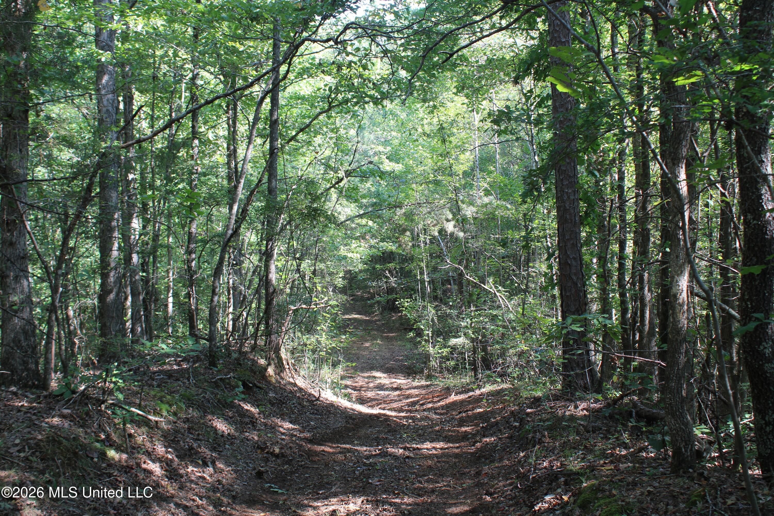 6900 Hwy 370 Property Photo 57