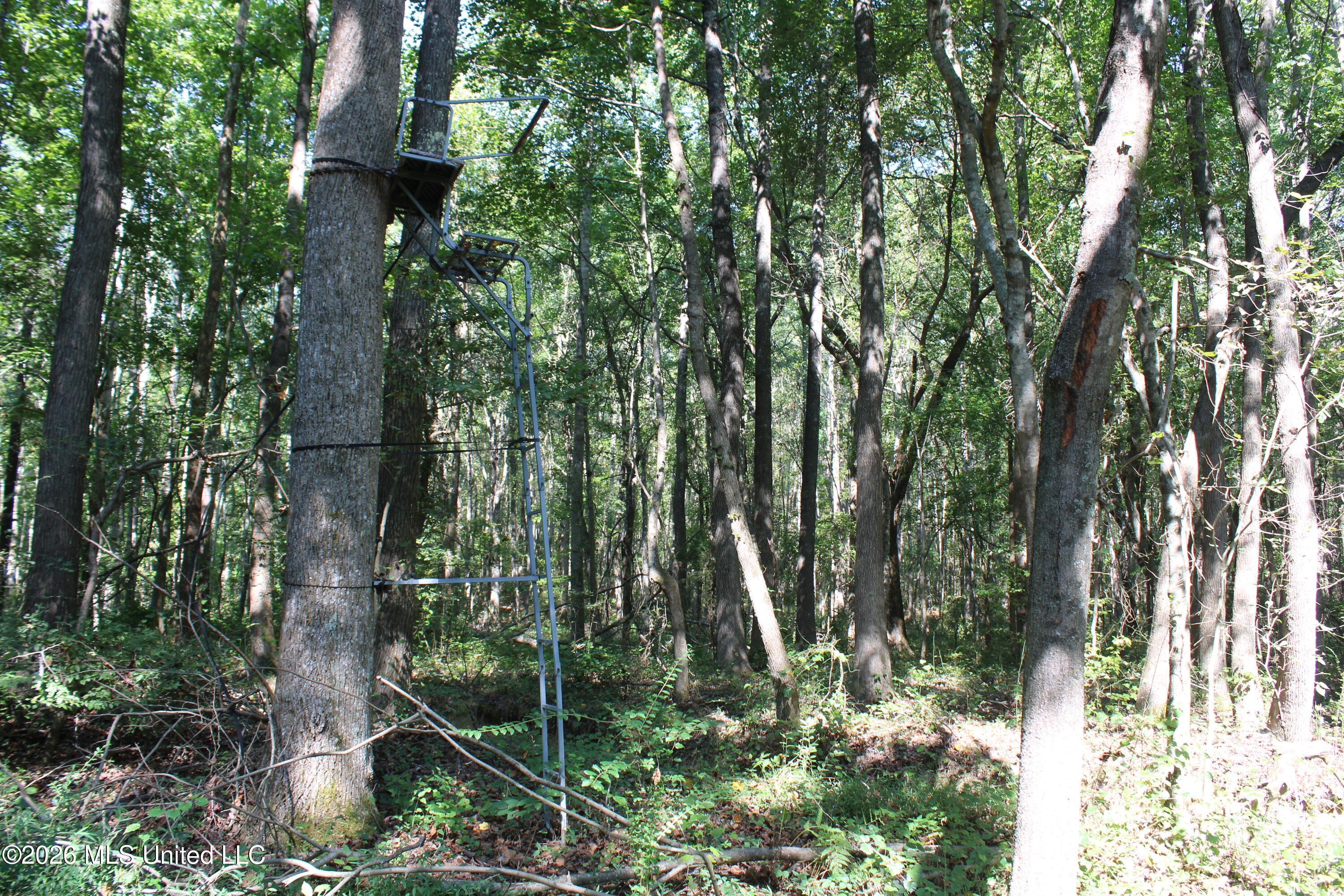 6900 Hwy 370 Property Photo 59
