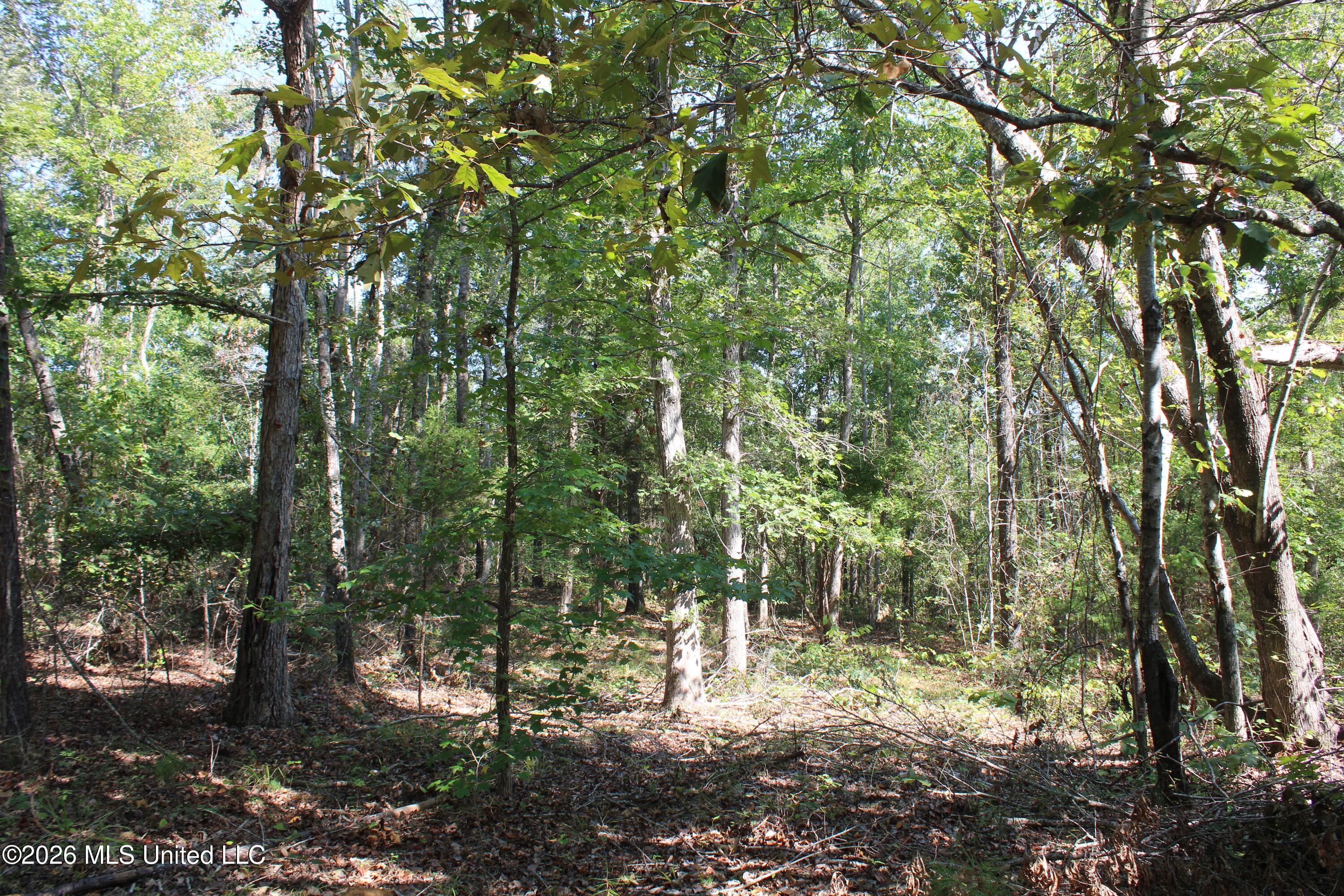 6900 Hwy 370 Property Photo 60