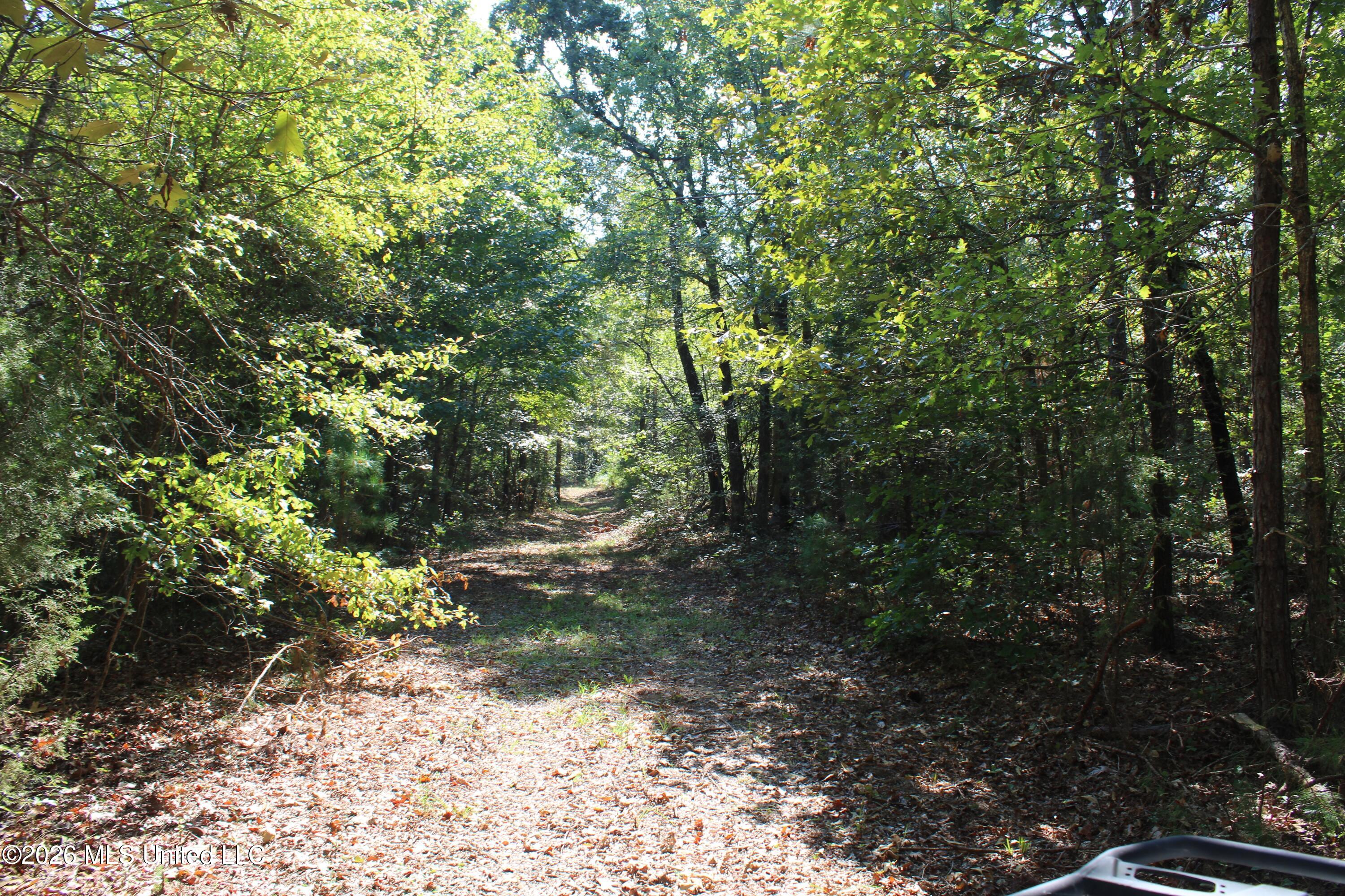 6900 Hwy 370 Property Photo 61