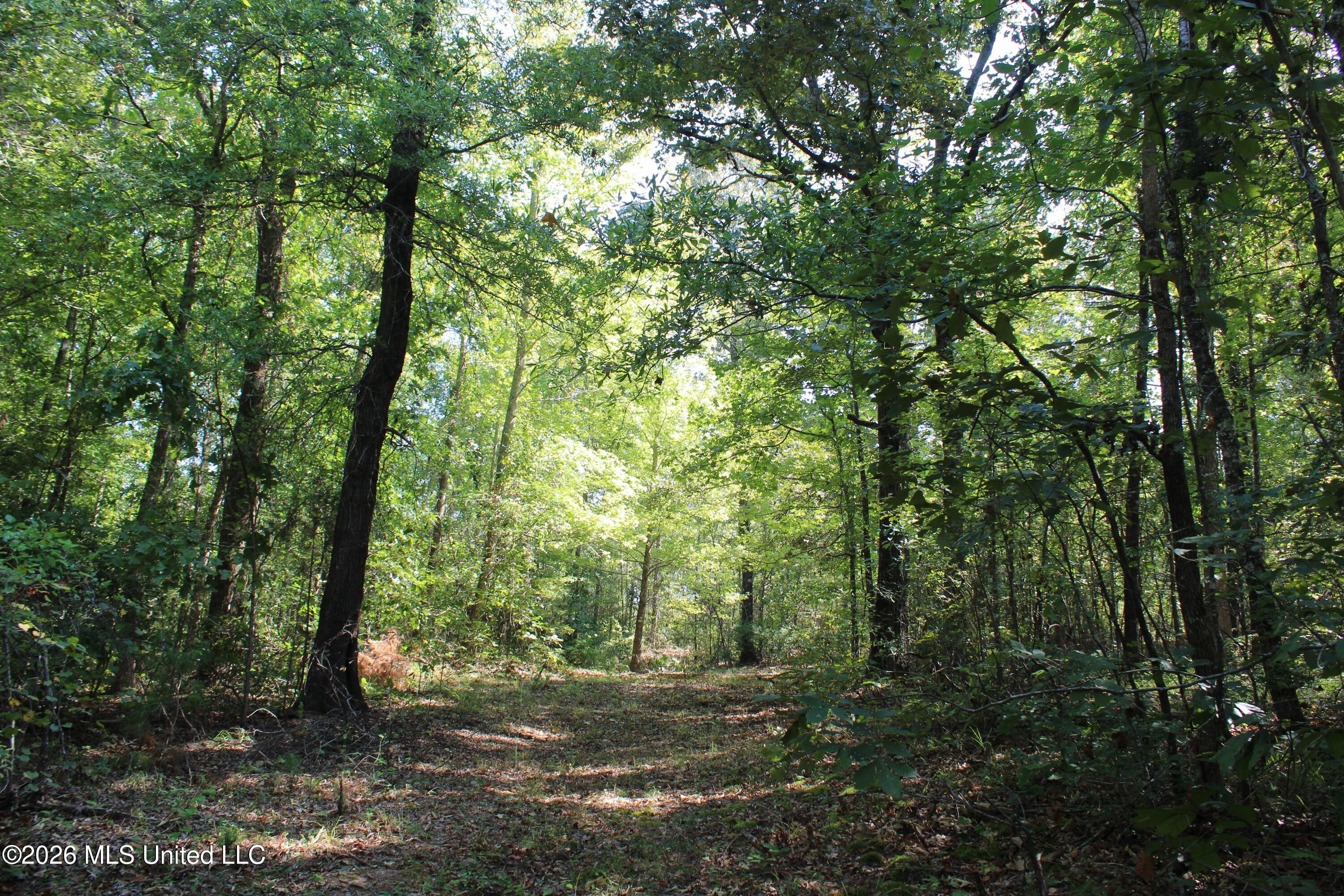 6900 Hwy 370 Property Photo 62