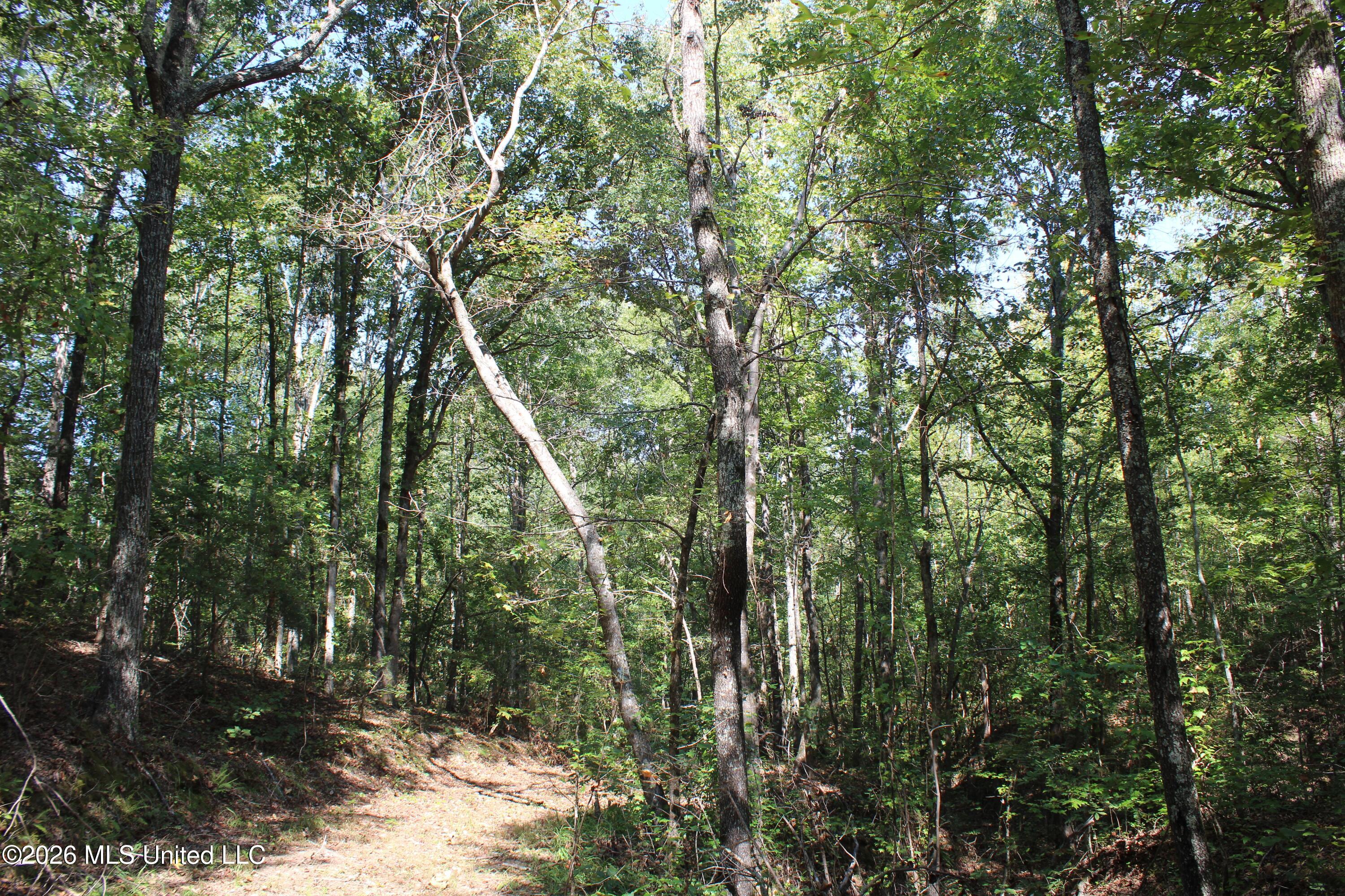 6900 Hwy 370 Property Photo 64