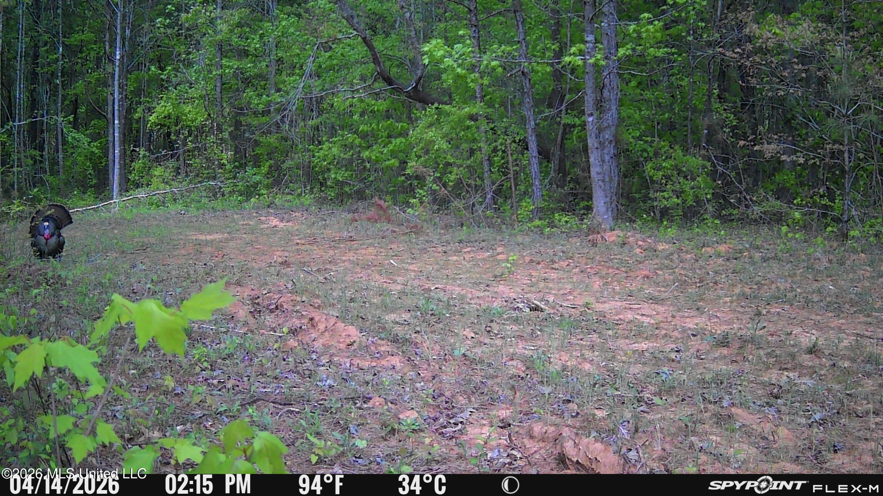 6900 Hwy 370 Property Photo 101