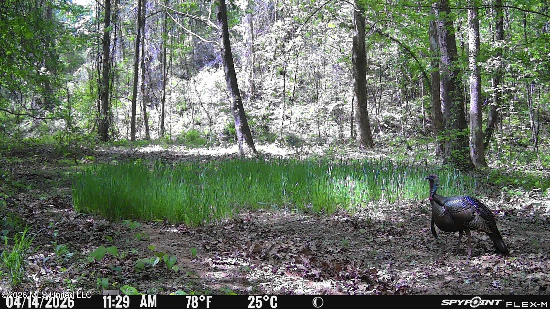 6900 Hwy 370 Property Photo 150