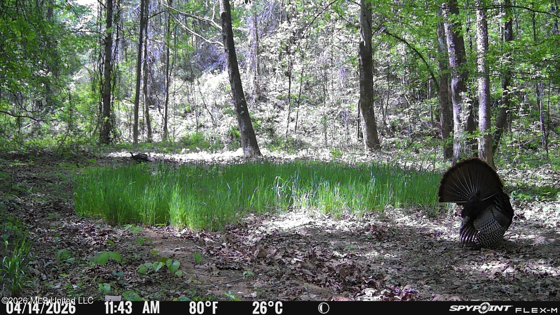 6900 Hwy 370 Property Photo 152