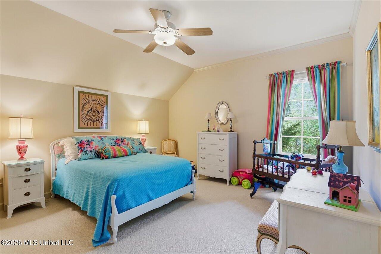 206 Persimmon Hill Property Photo 28