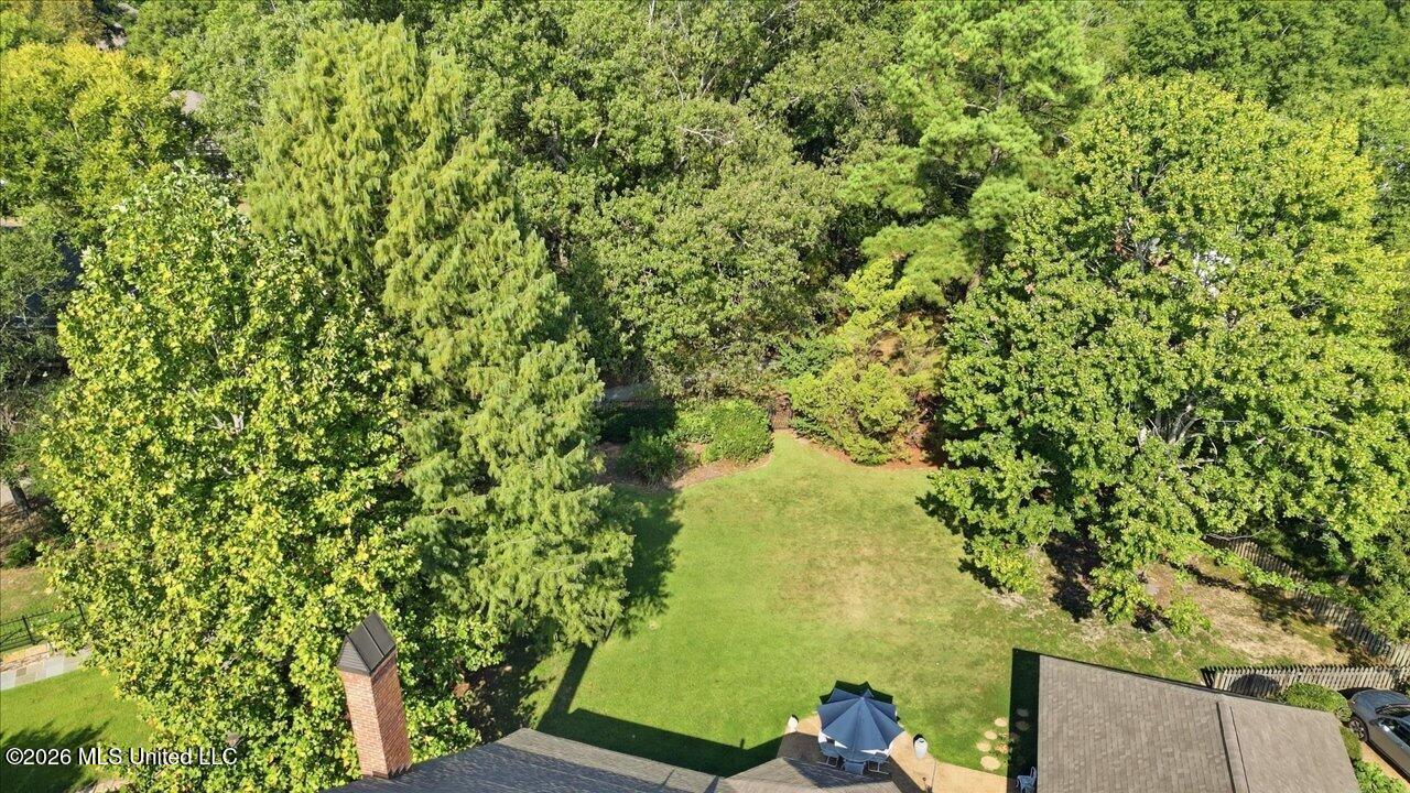 206 Persimmon Hill Property Photo 41