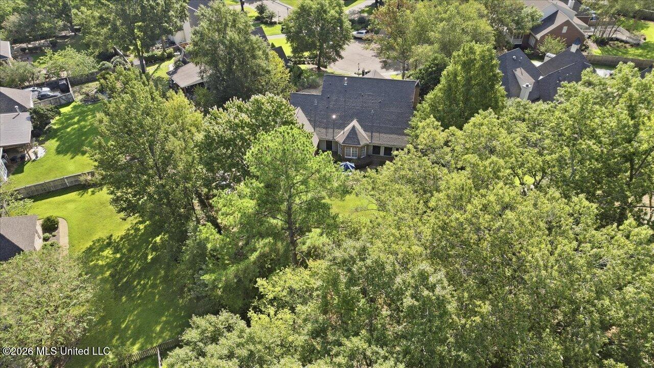206 Persimmon Hill Property Photo 44