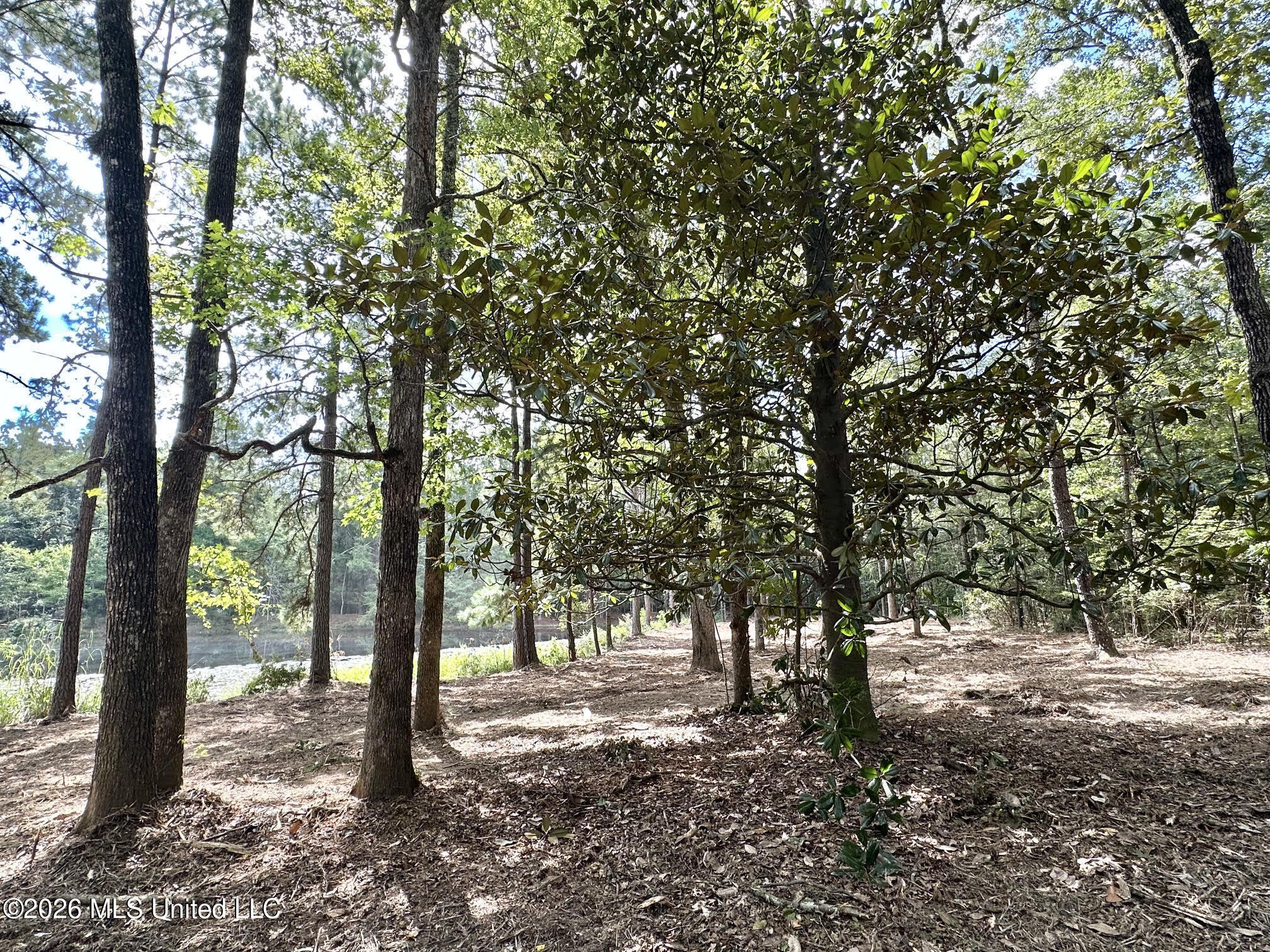 1 Clara Foote Rd Property Photo 11