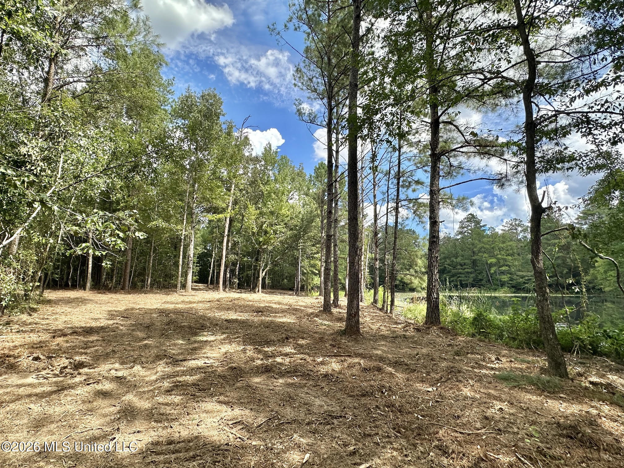 1 Clara Foote Rd Property Photo 13