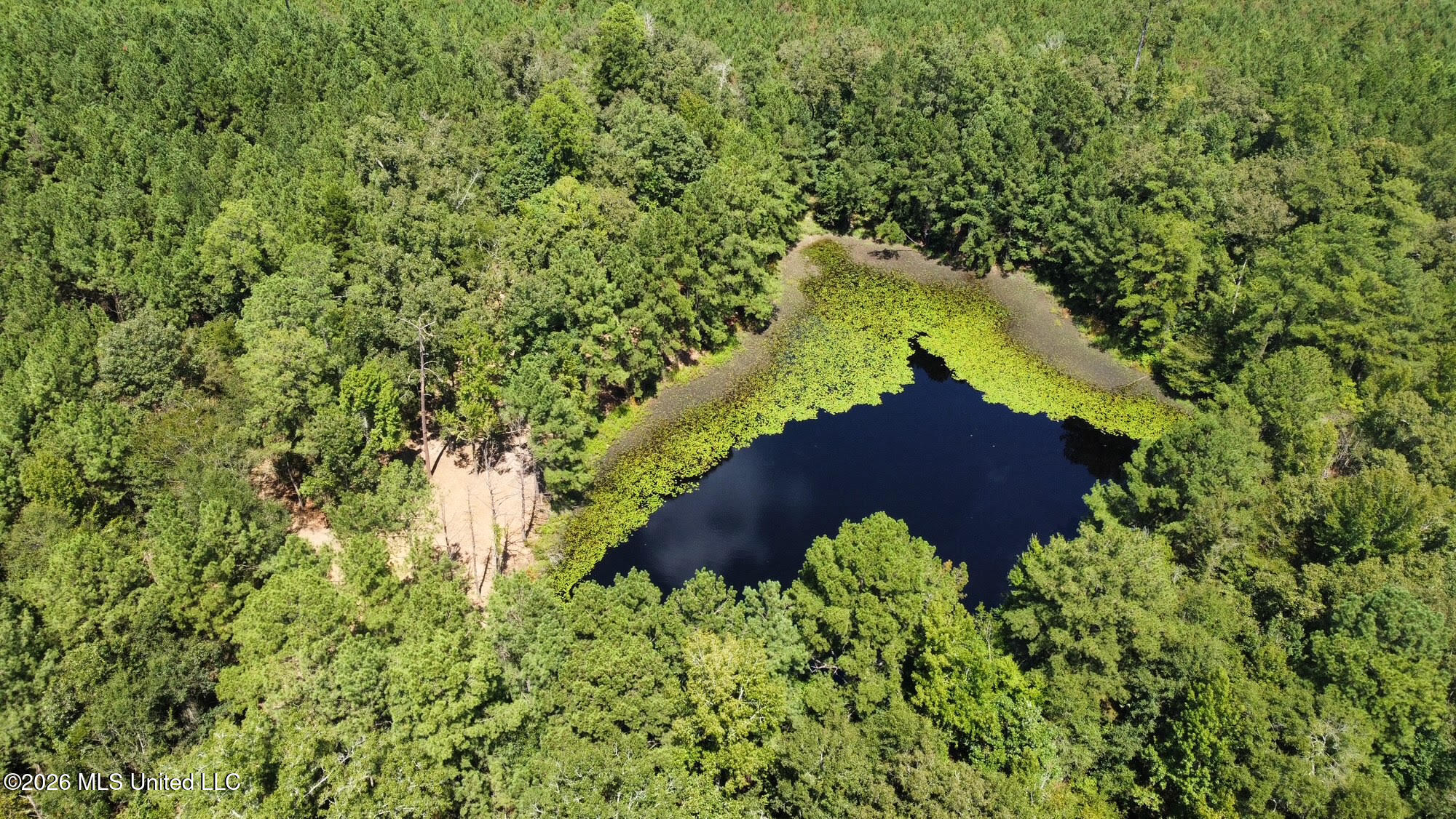 1 Clara Foote Rd Property Photo 23