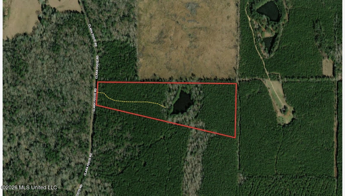 1 Clara Foote Rd Property Photo 32