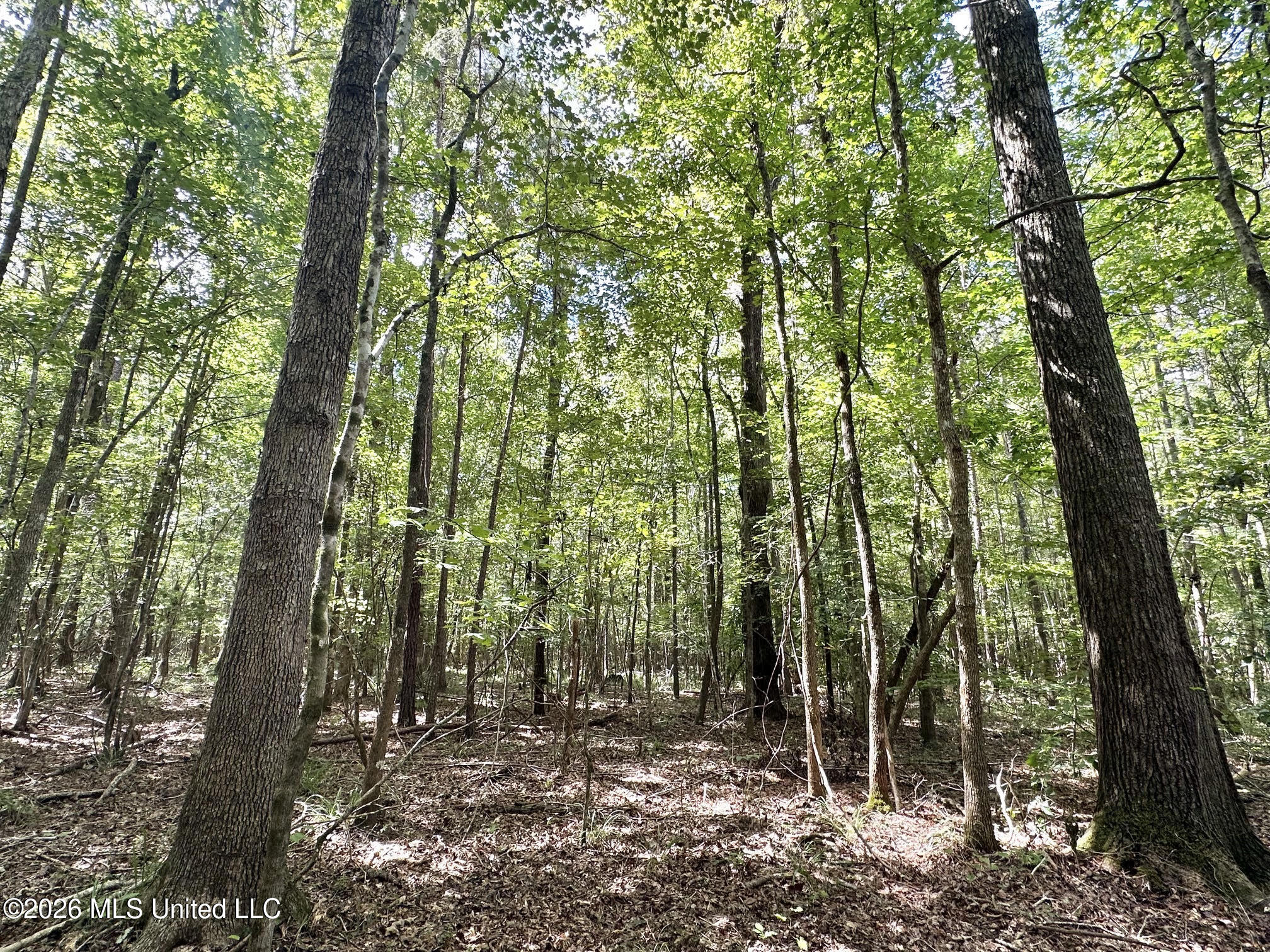 2 Clara Foote Rd Property Photo 7