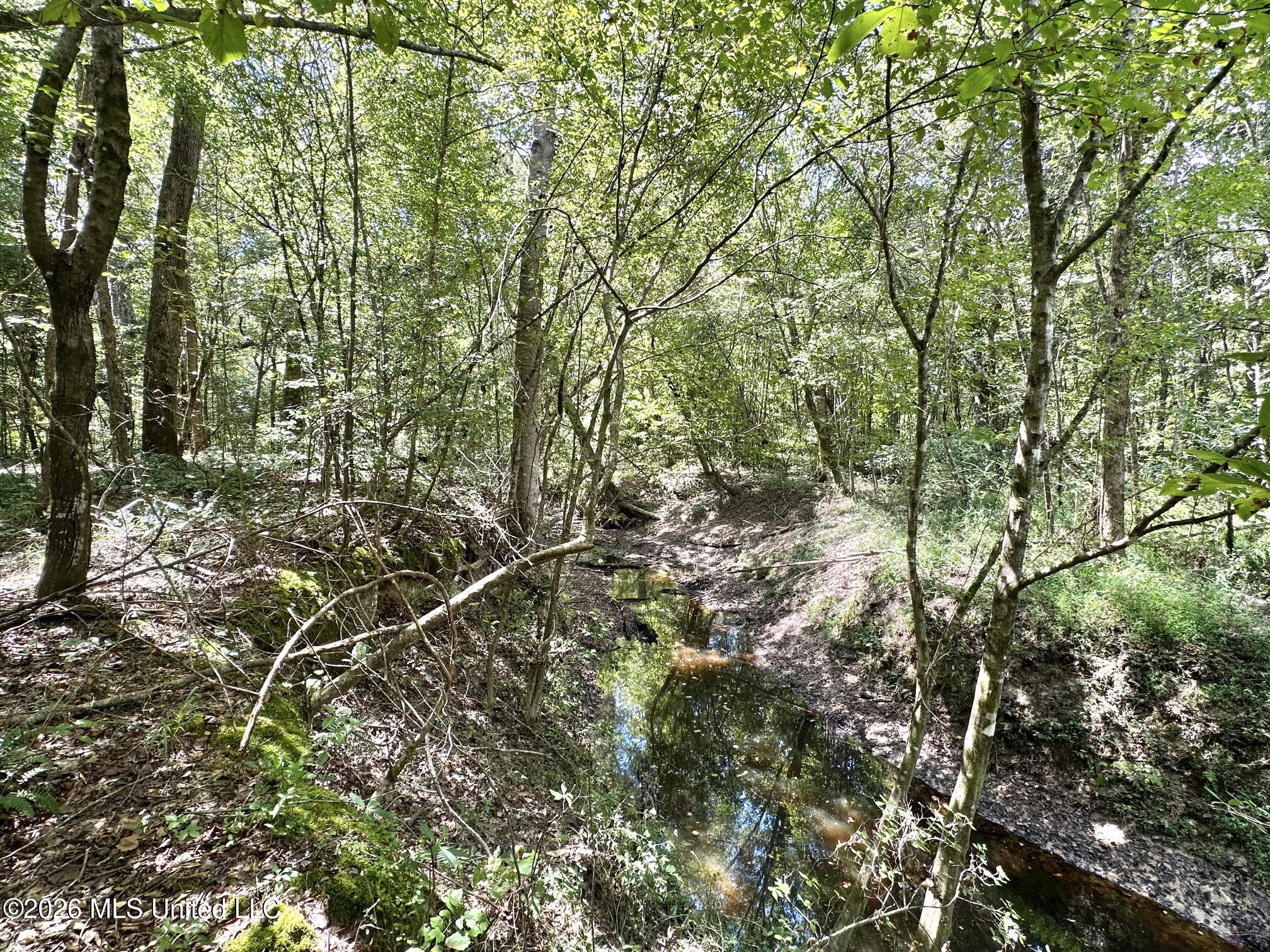 2 Clara Foote Rd Property Photo 11