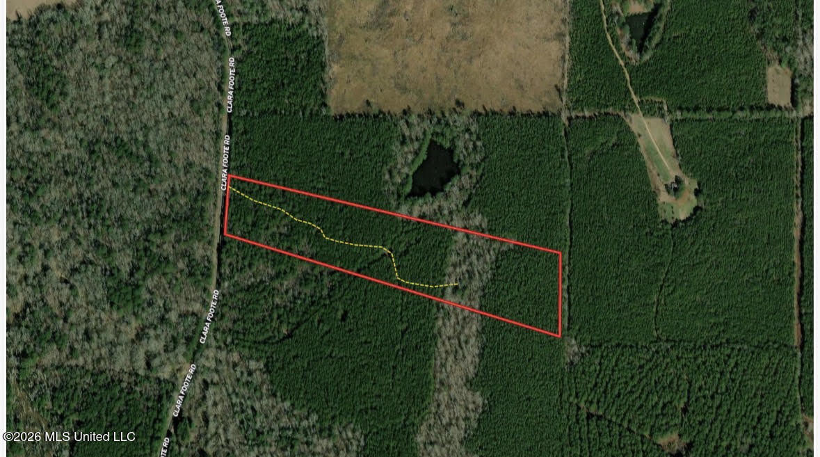 2 Clara Foote Rd Property Photo 22