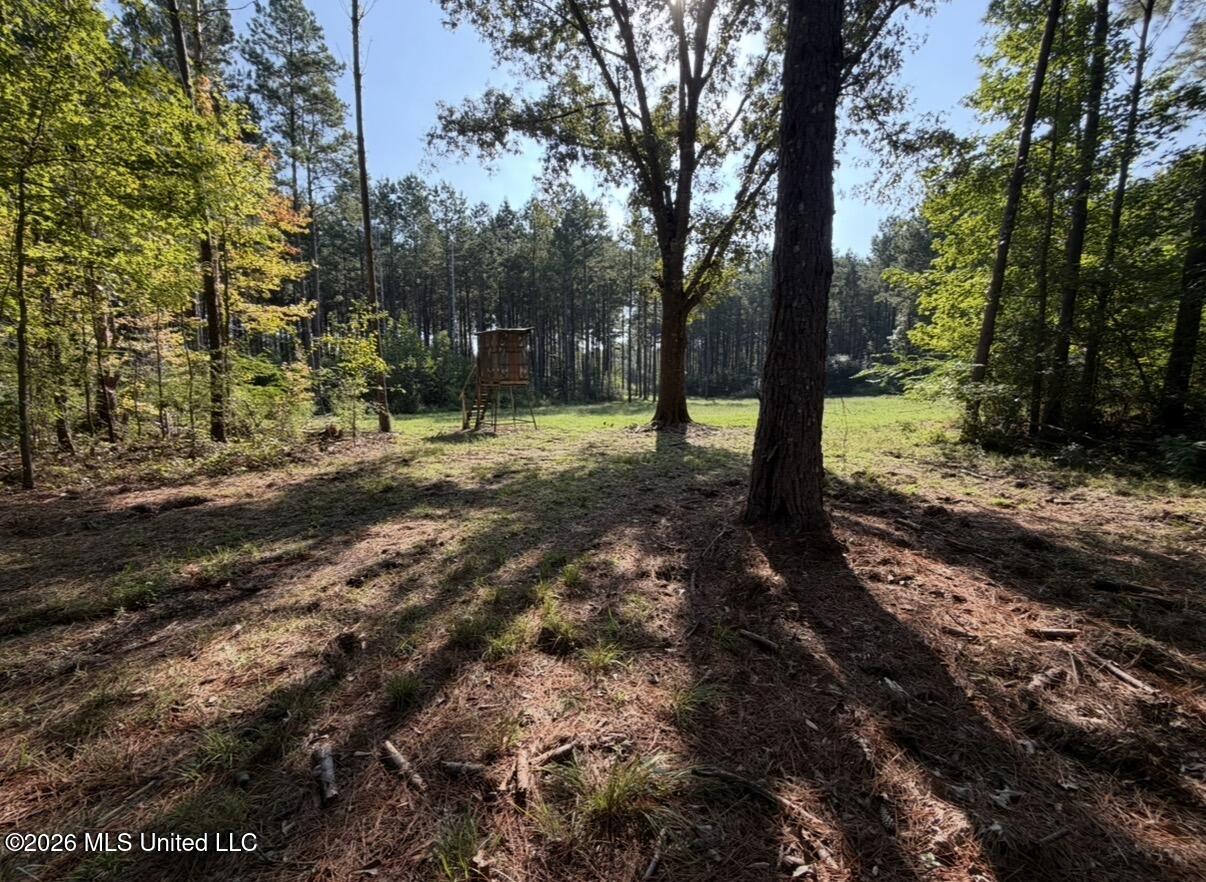 Mississippi 18 Property Photo 1