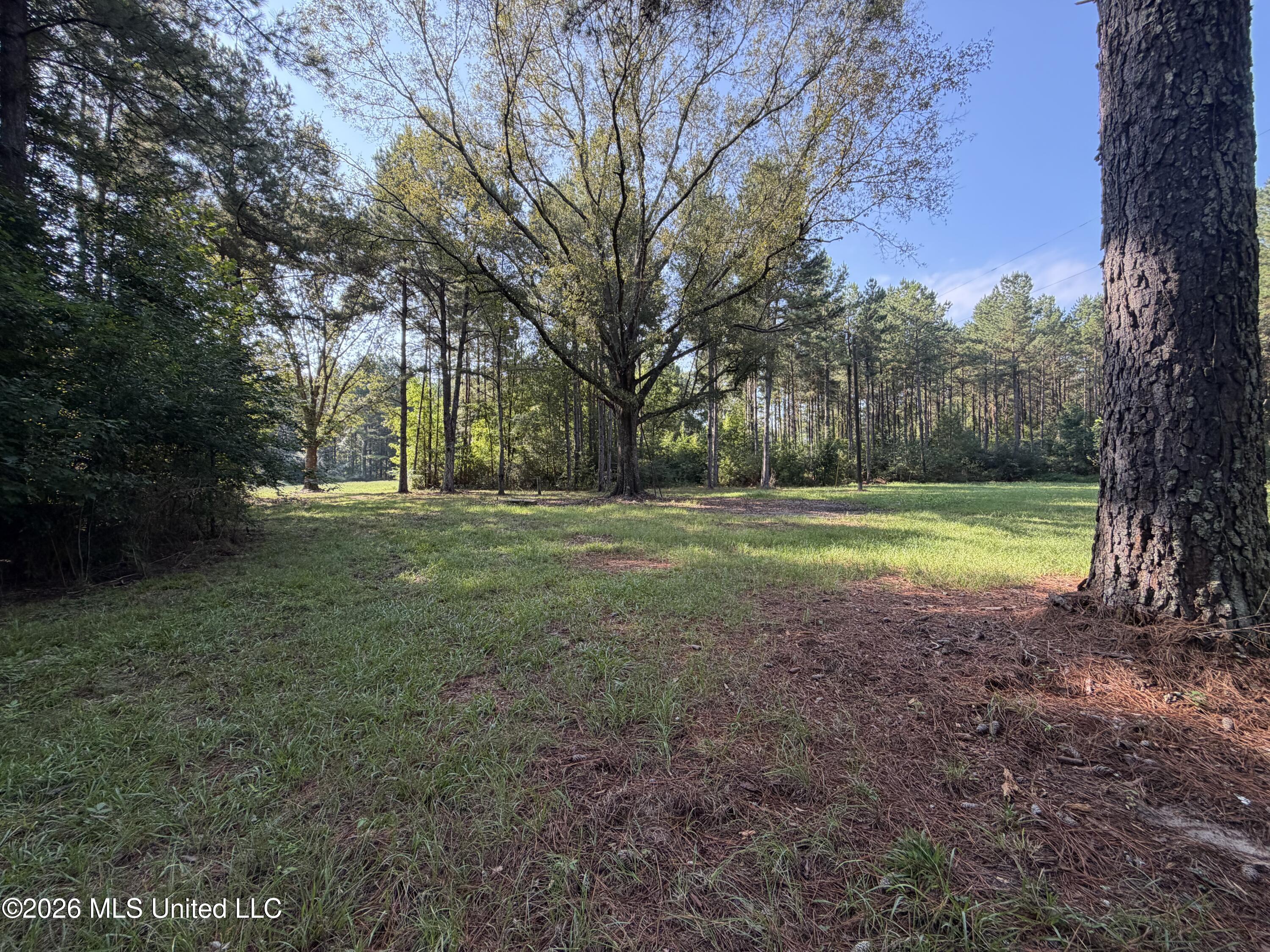 Mississippi 18 Property Photo 2