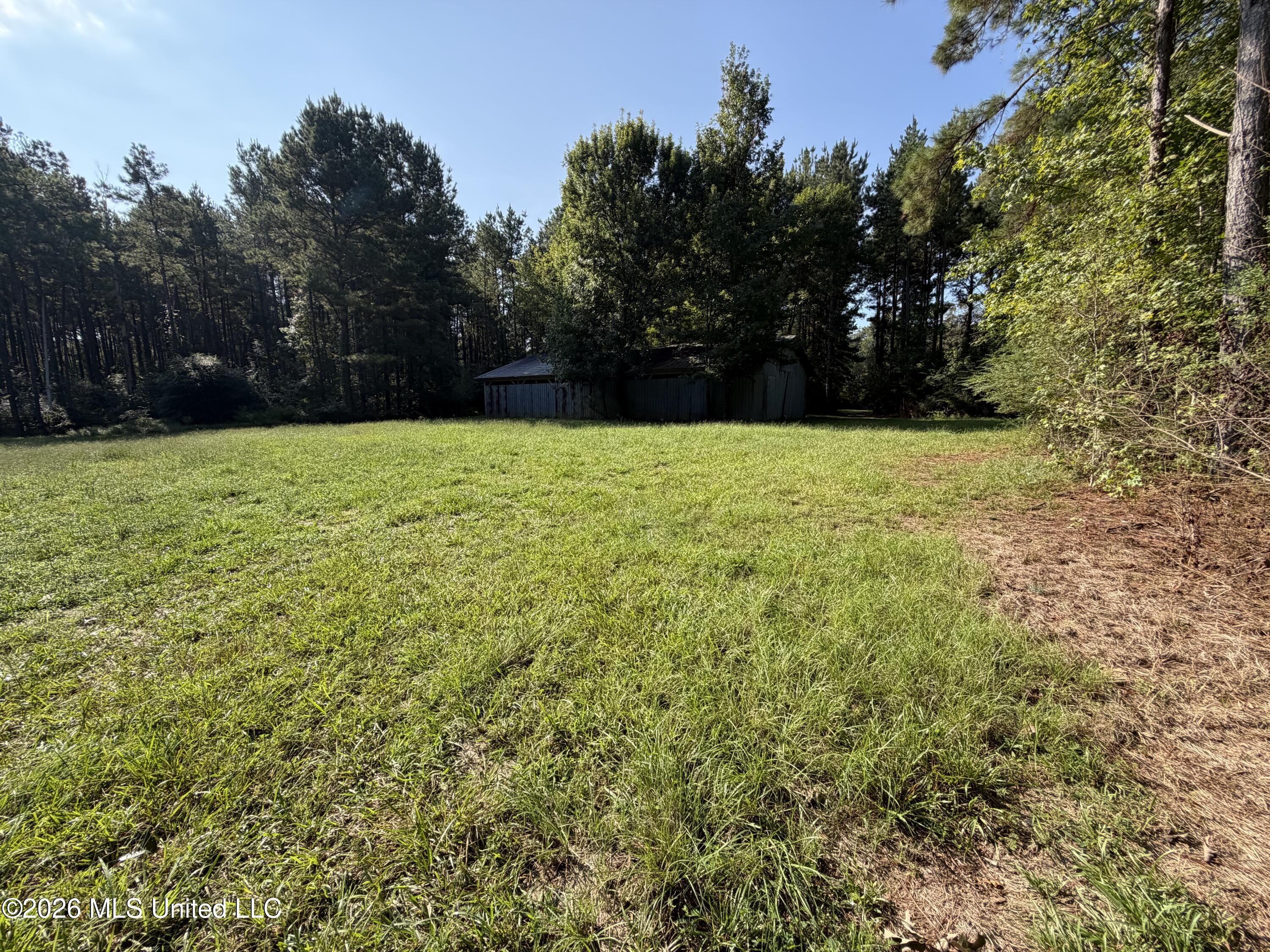 Mississippi 18 Property Photo 3