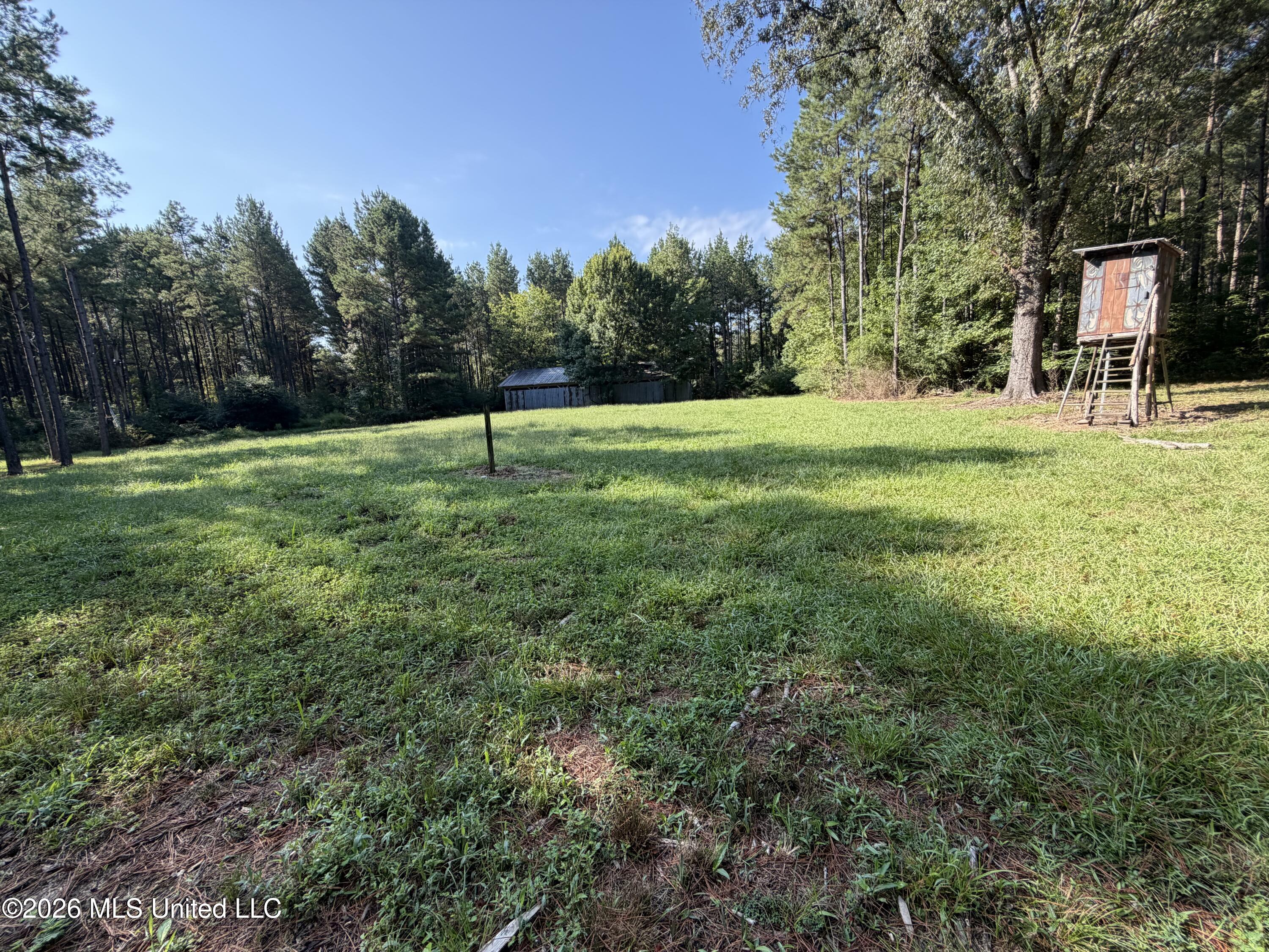 Mississippi 18 Property Photo 4