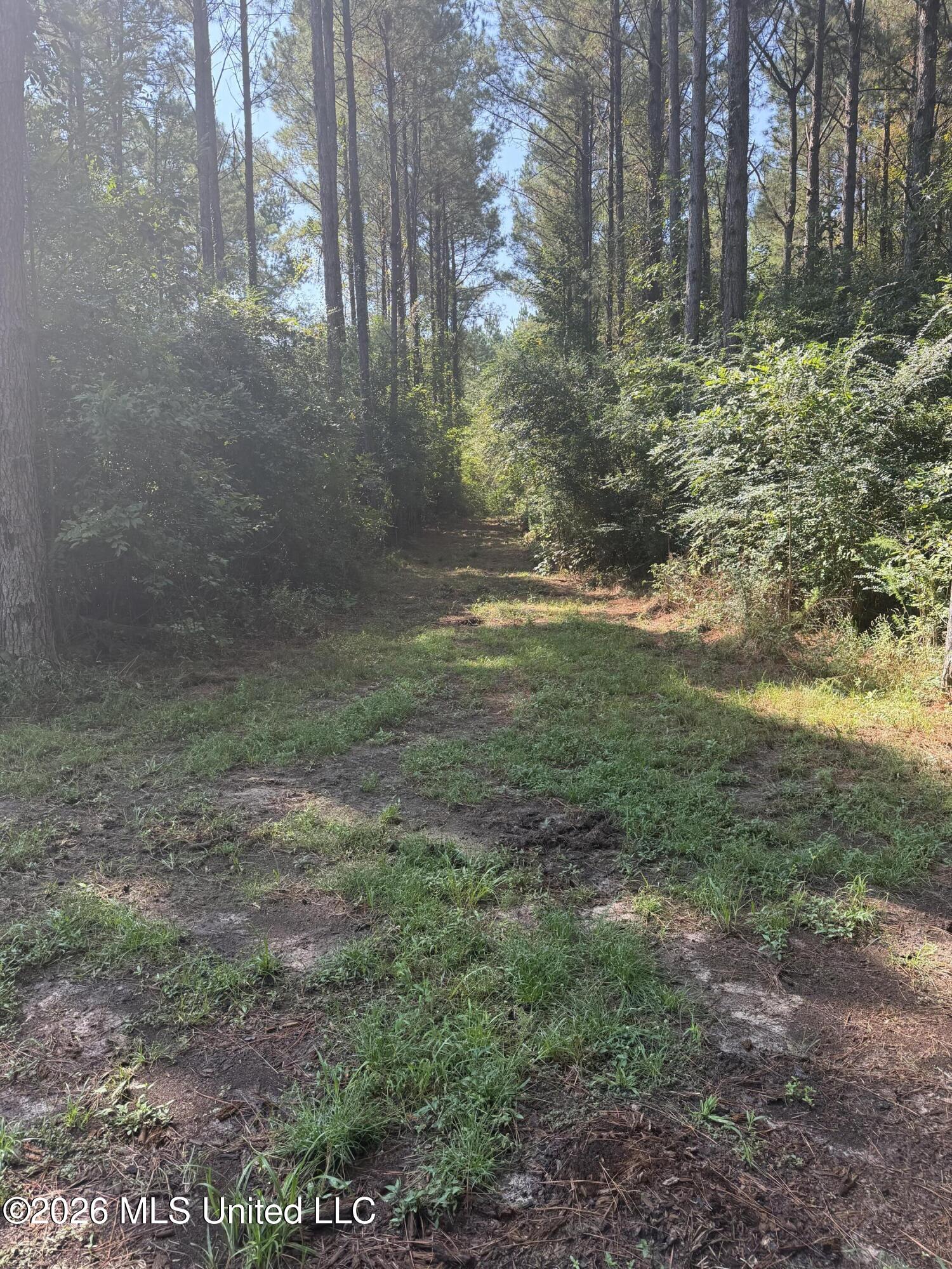 Mississippi 18 Property Photo 6