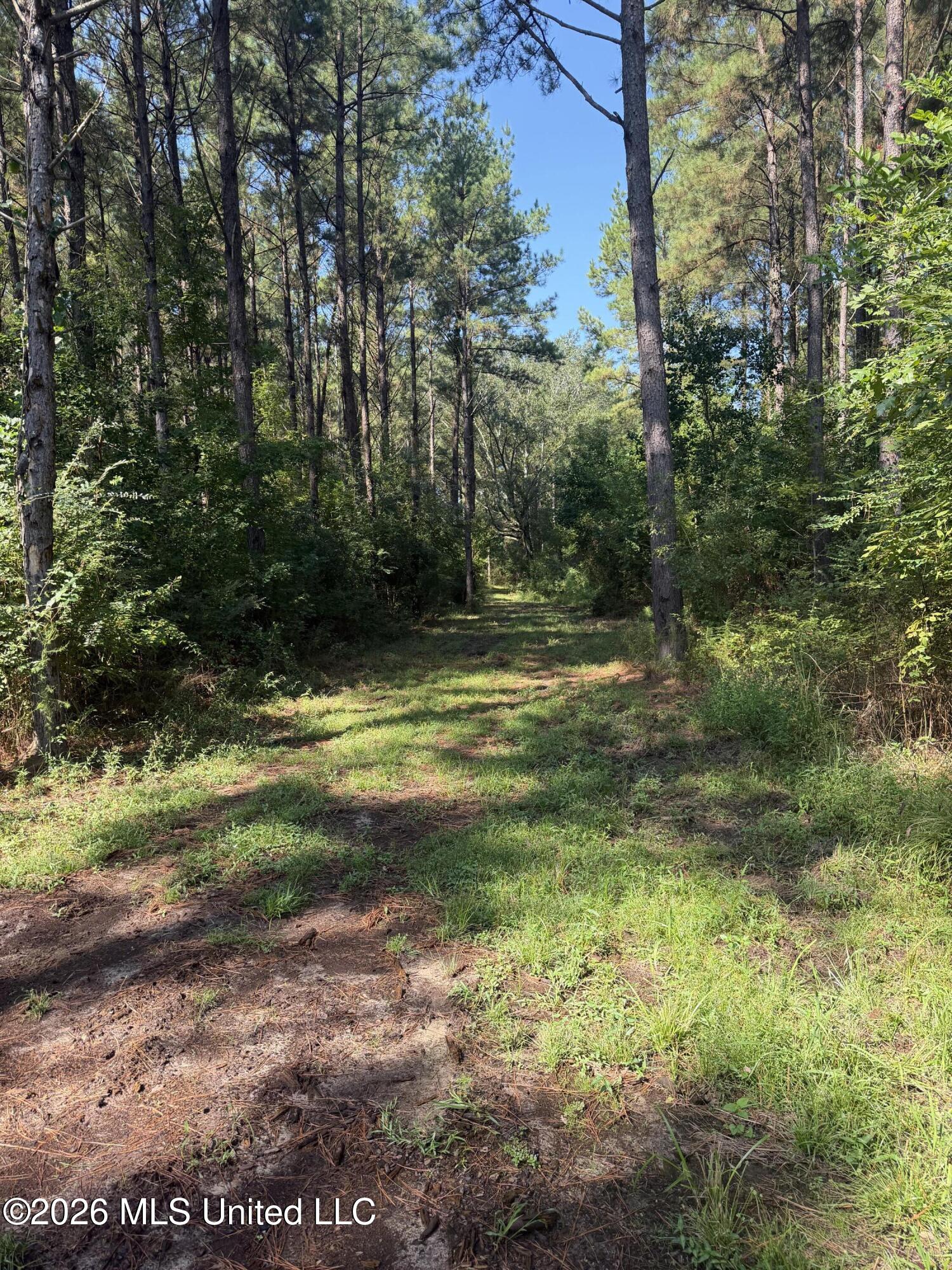 Mississippi 18 Property Photo 7