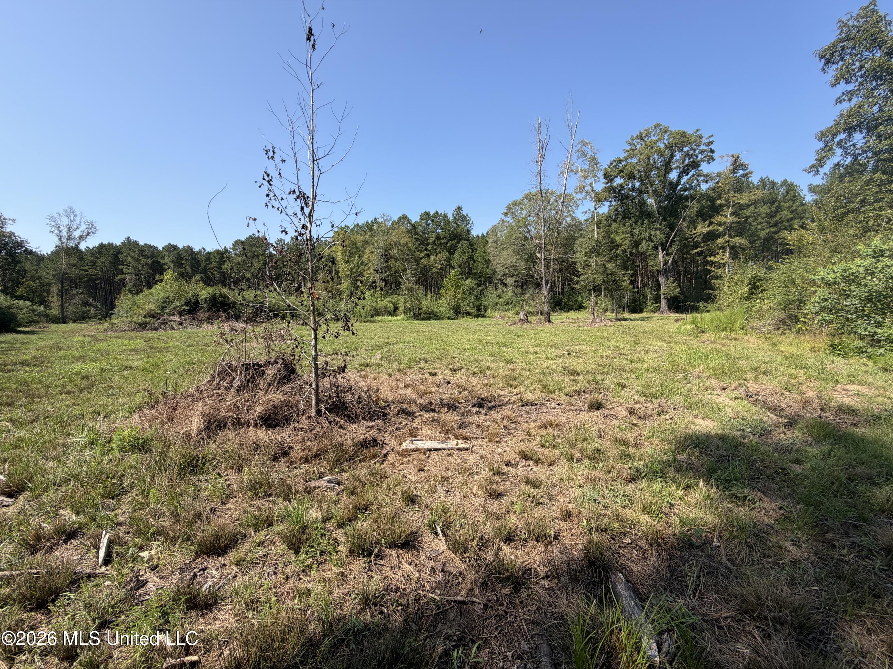 Mississippi 18 Property Photo 9