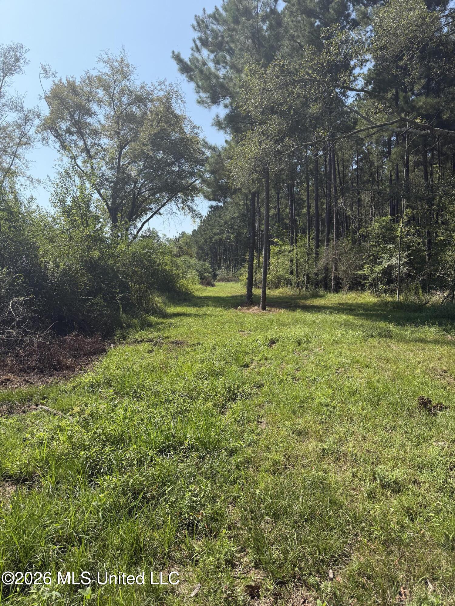 Mississippi 18 Property Photo 10