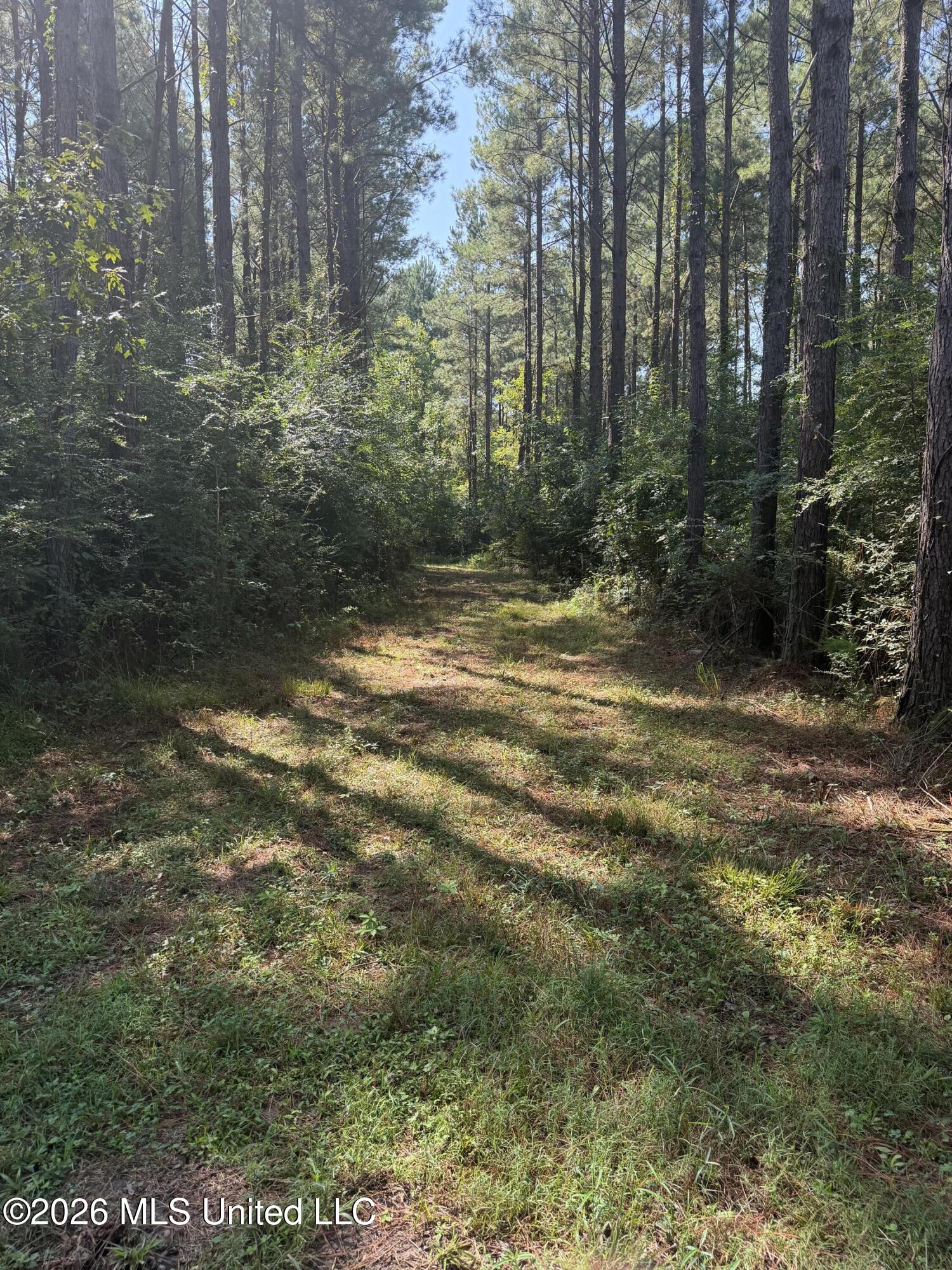 Mississippi 18 Property Photo 11