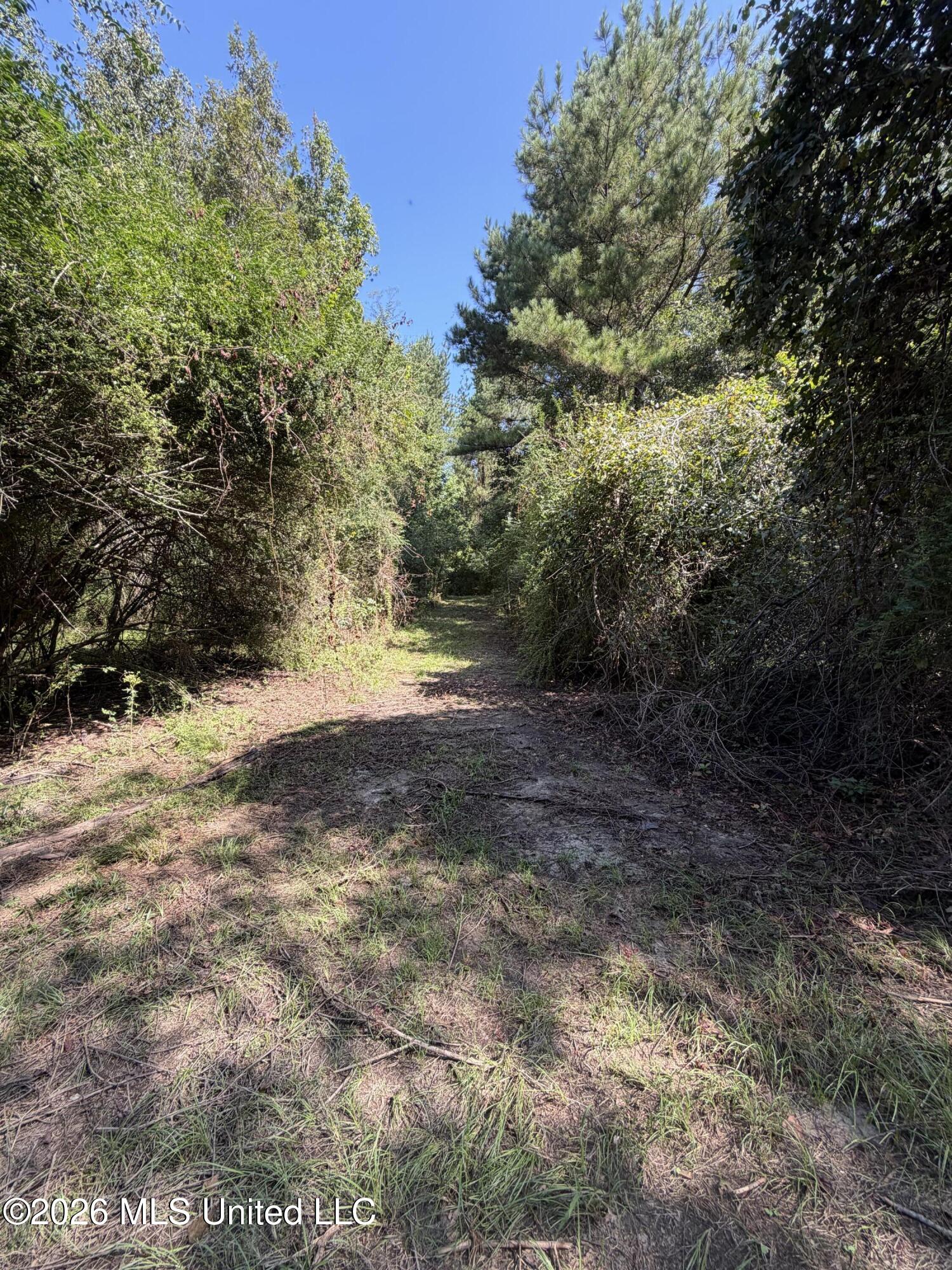 Mississippi 18 Property Photo 17