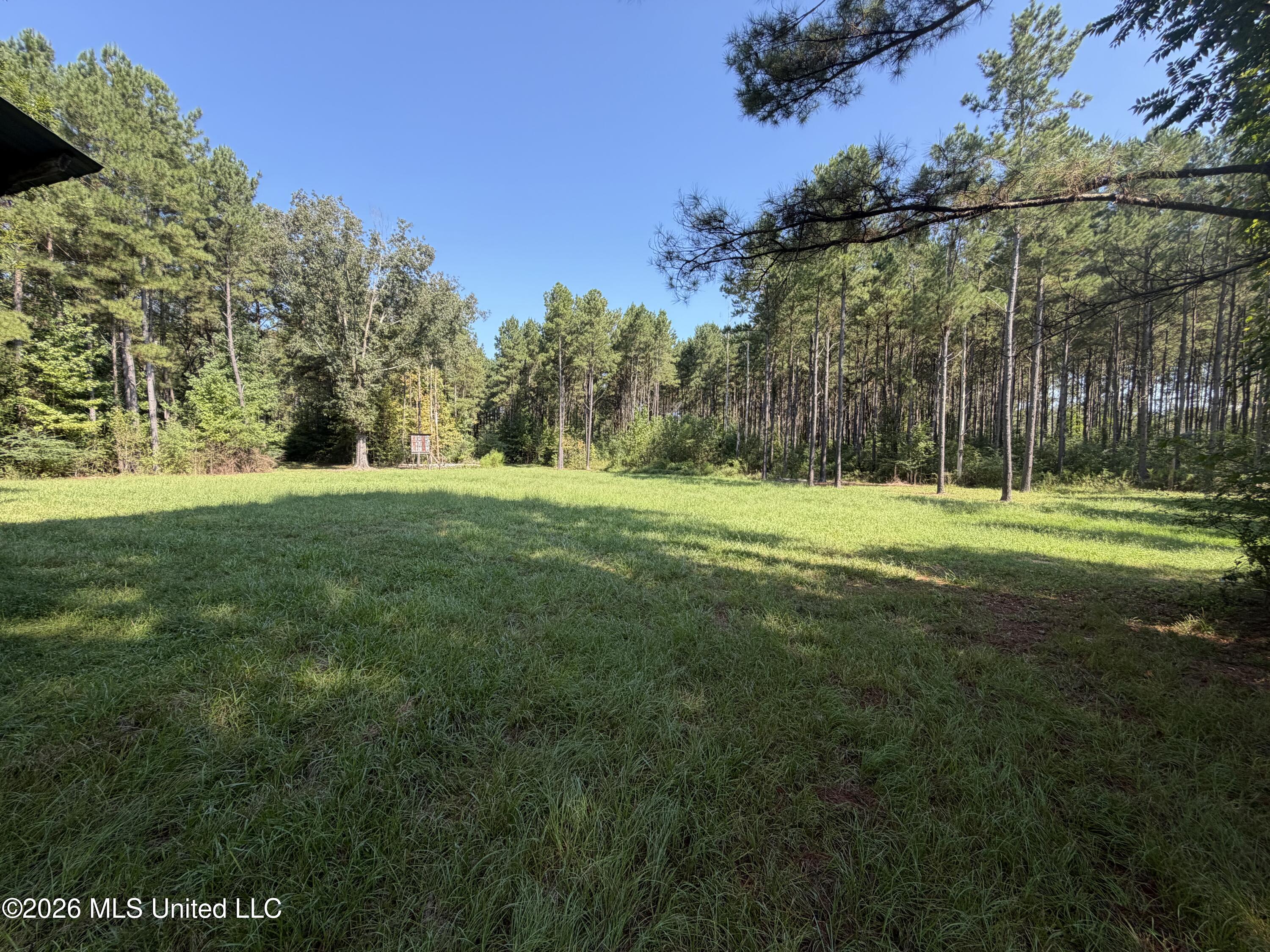 Mississippi 18 Property Photo 19