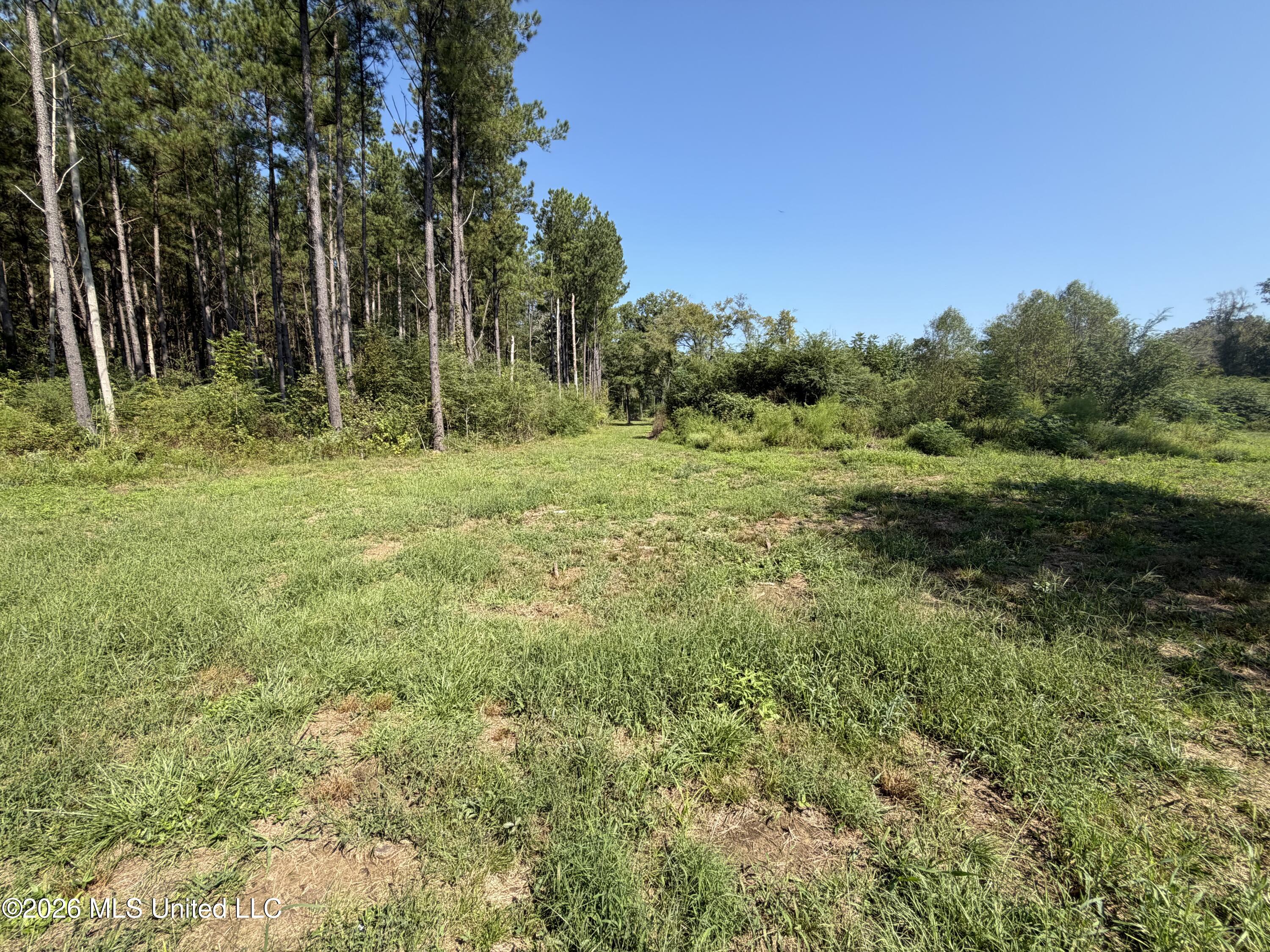 Mississippi 18 Property Photo 20