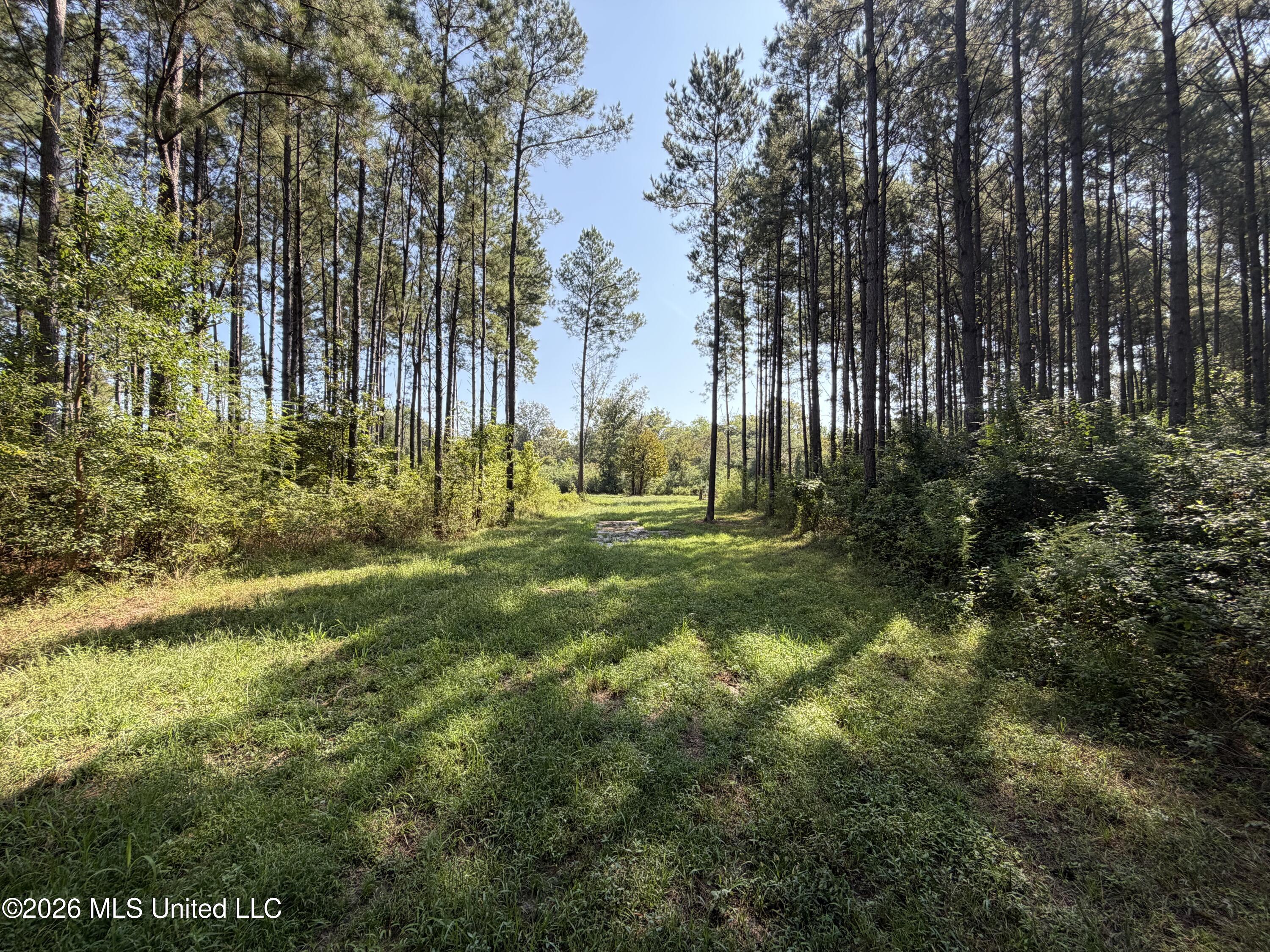 Mississippi 18 Property Photo 21