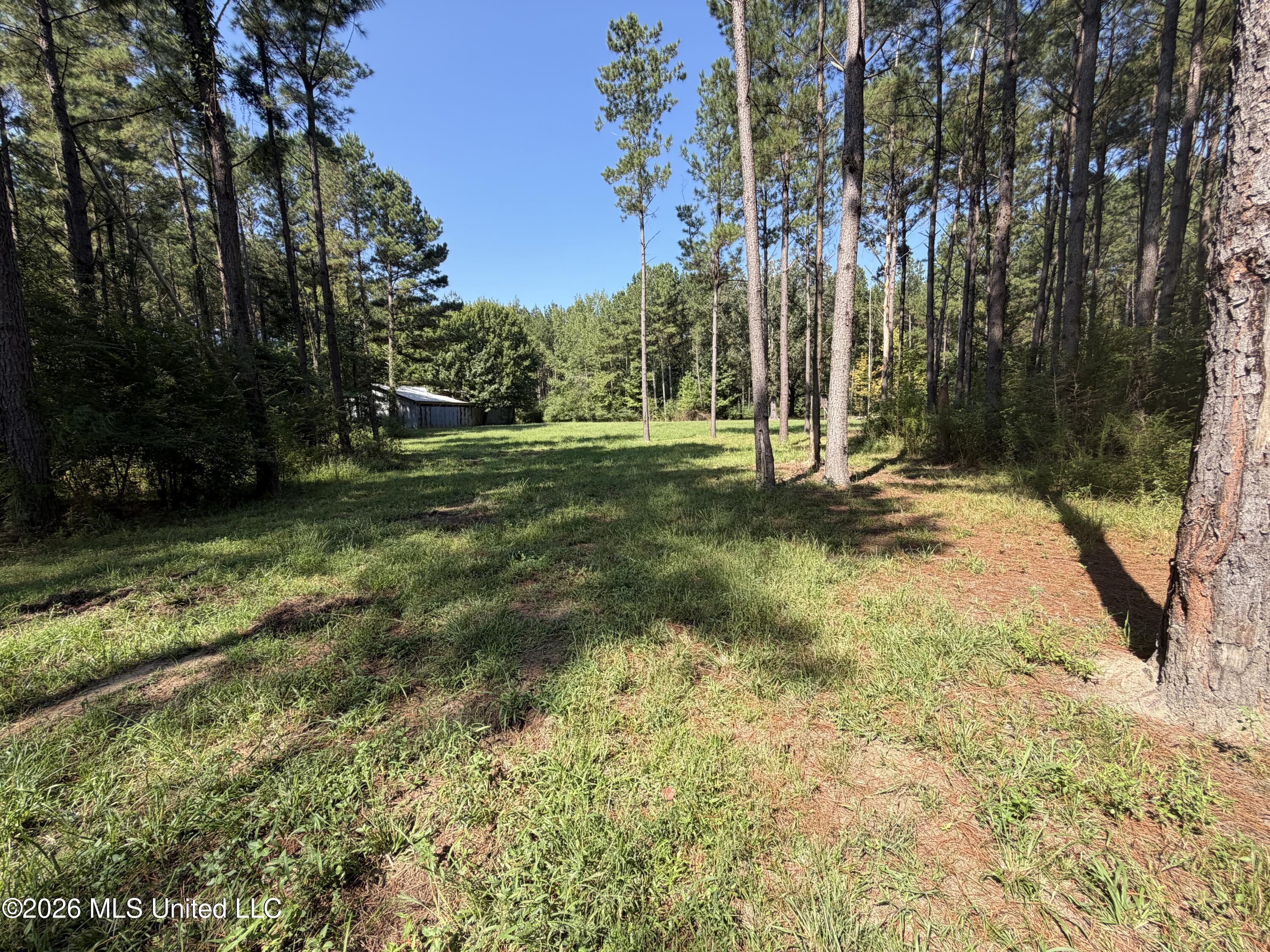 Mississippi 18 Property Photo 22