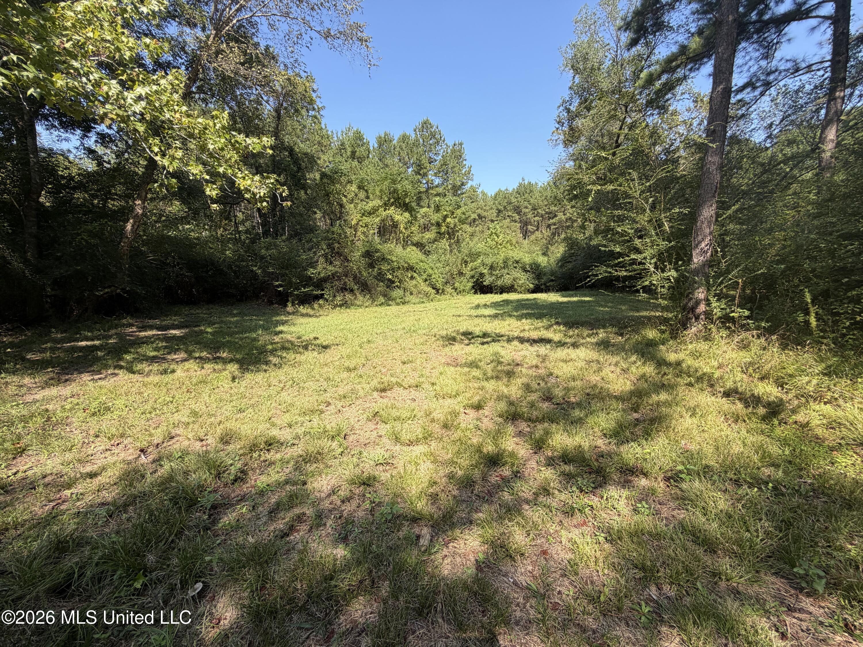 Mississippi 18 Property Photo 23