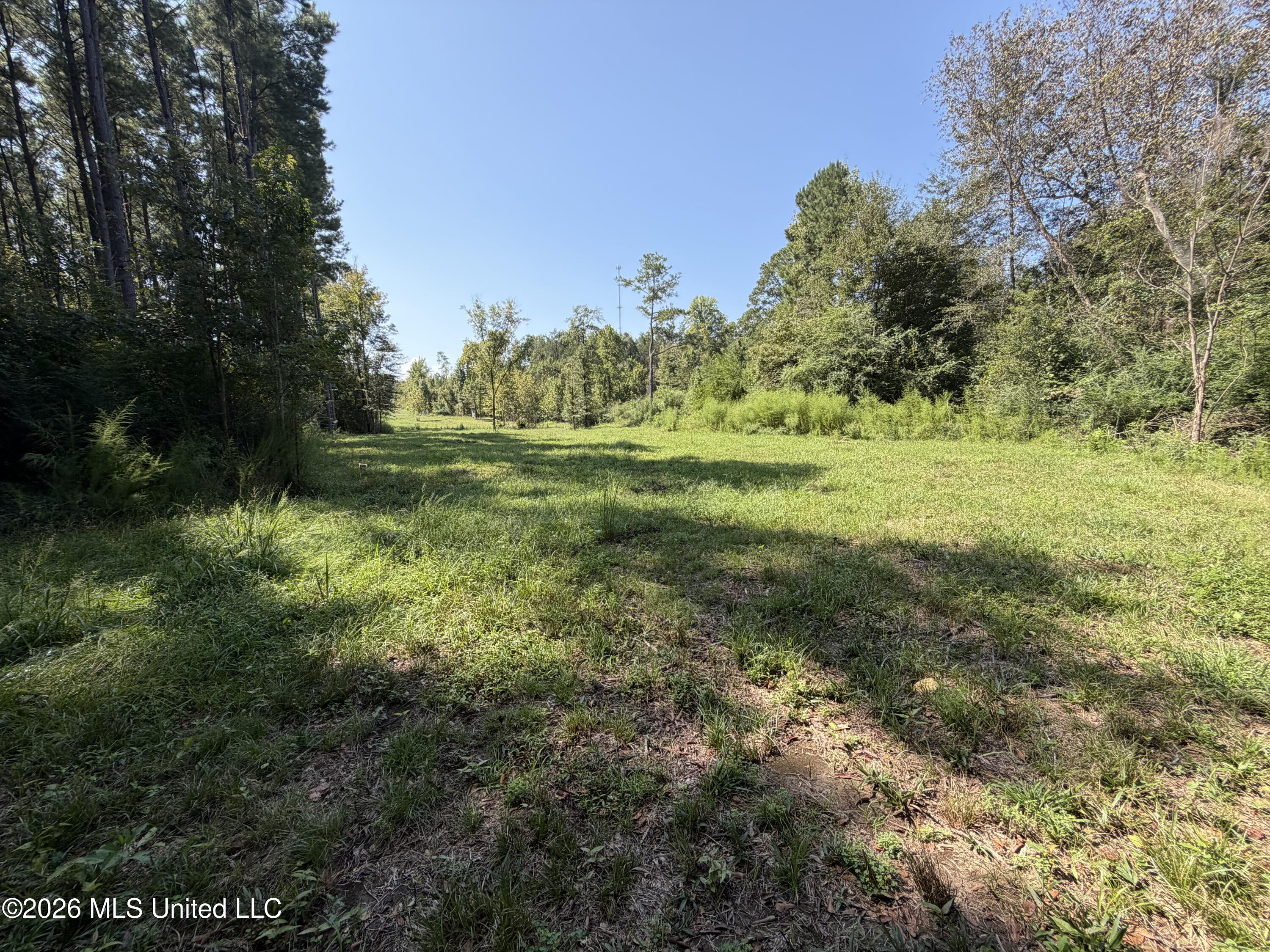 Mississippi 18 Property Photo 33
