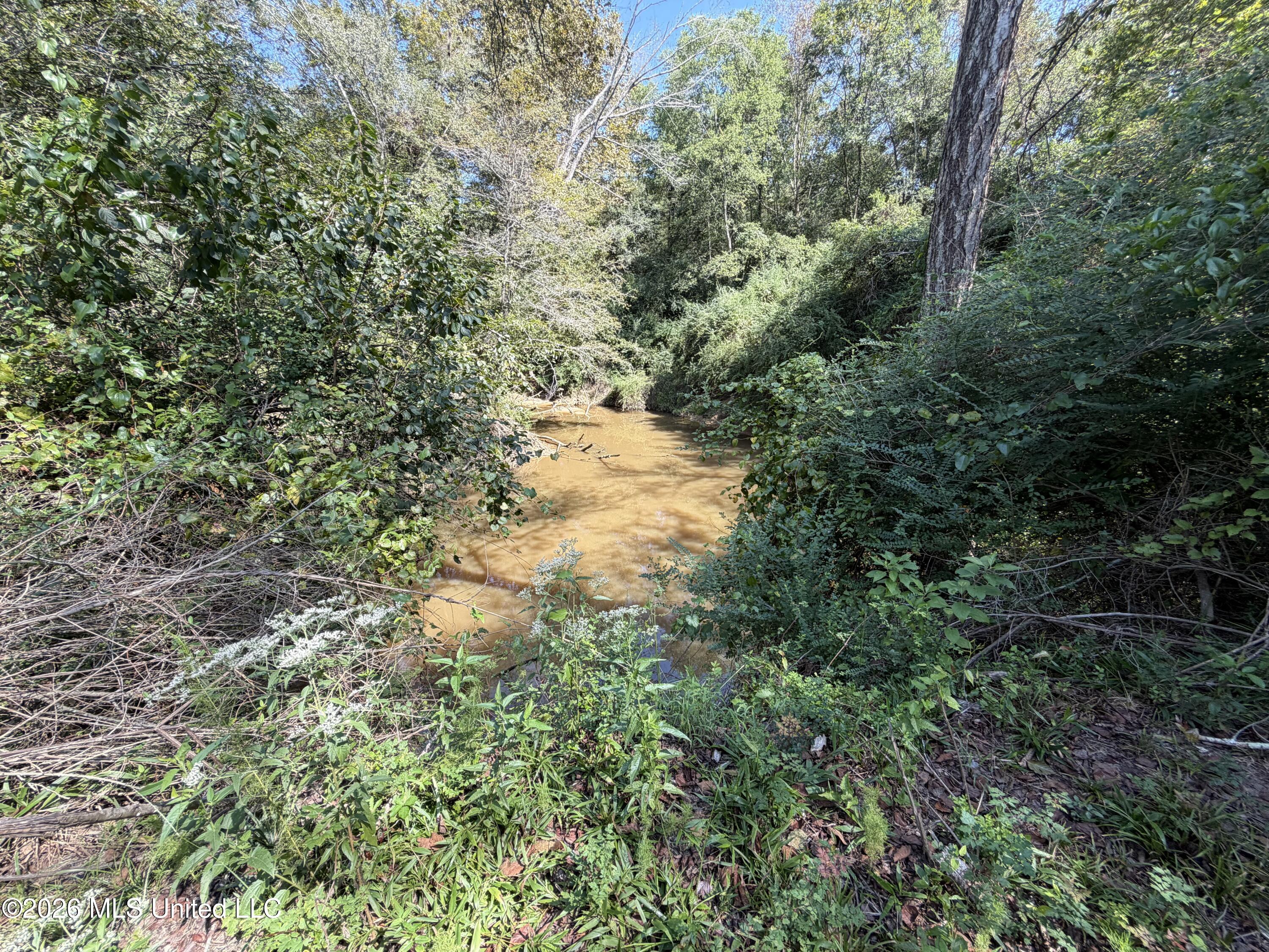Mississippi 18 Property Photo 34