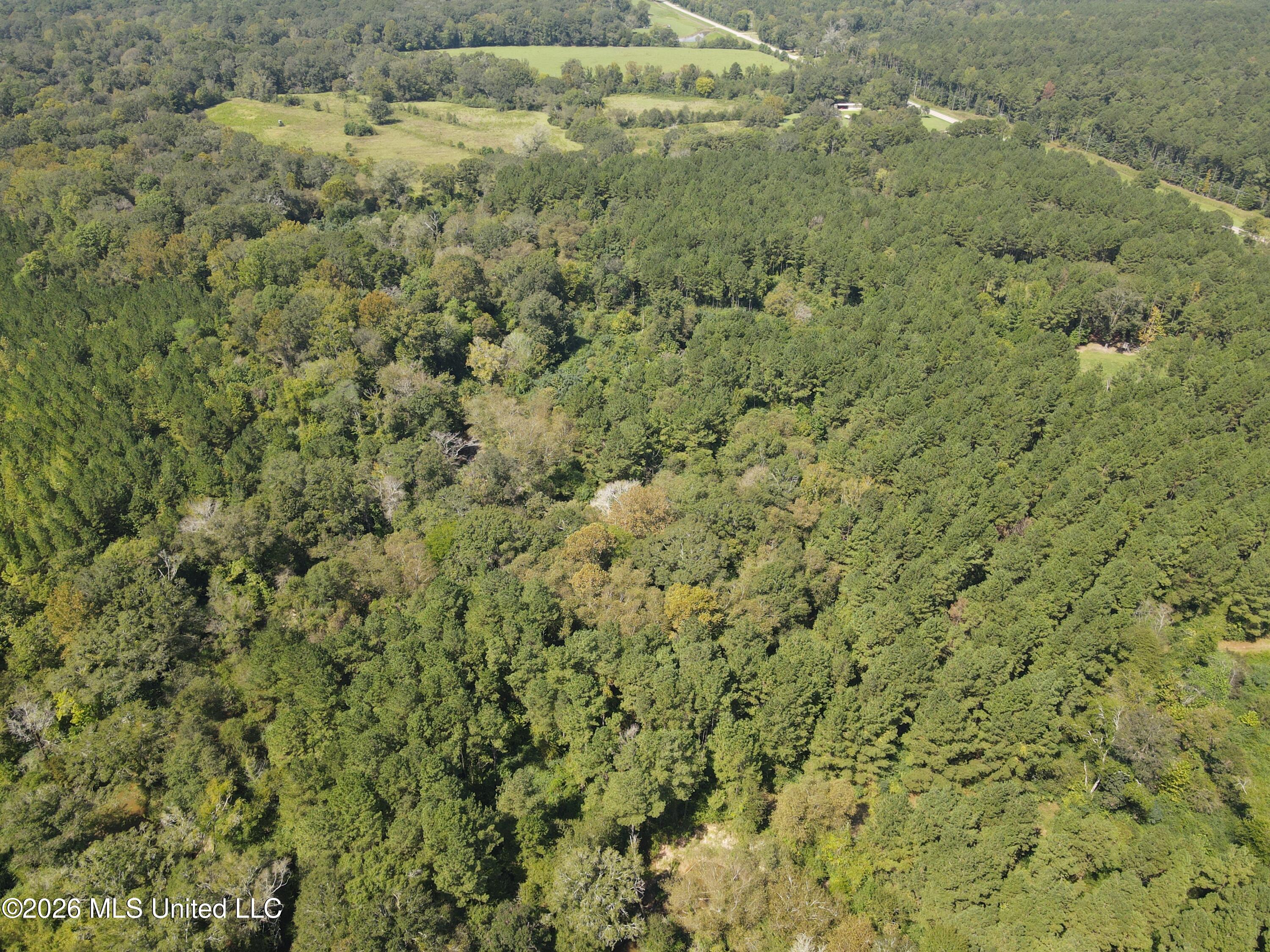 Mississippi 18 Property Photo 45