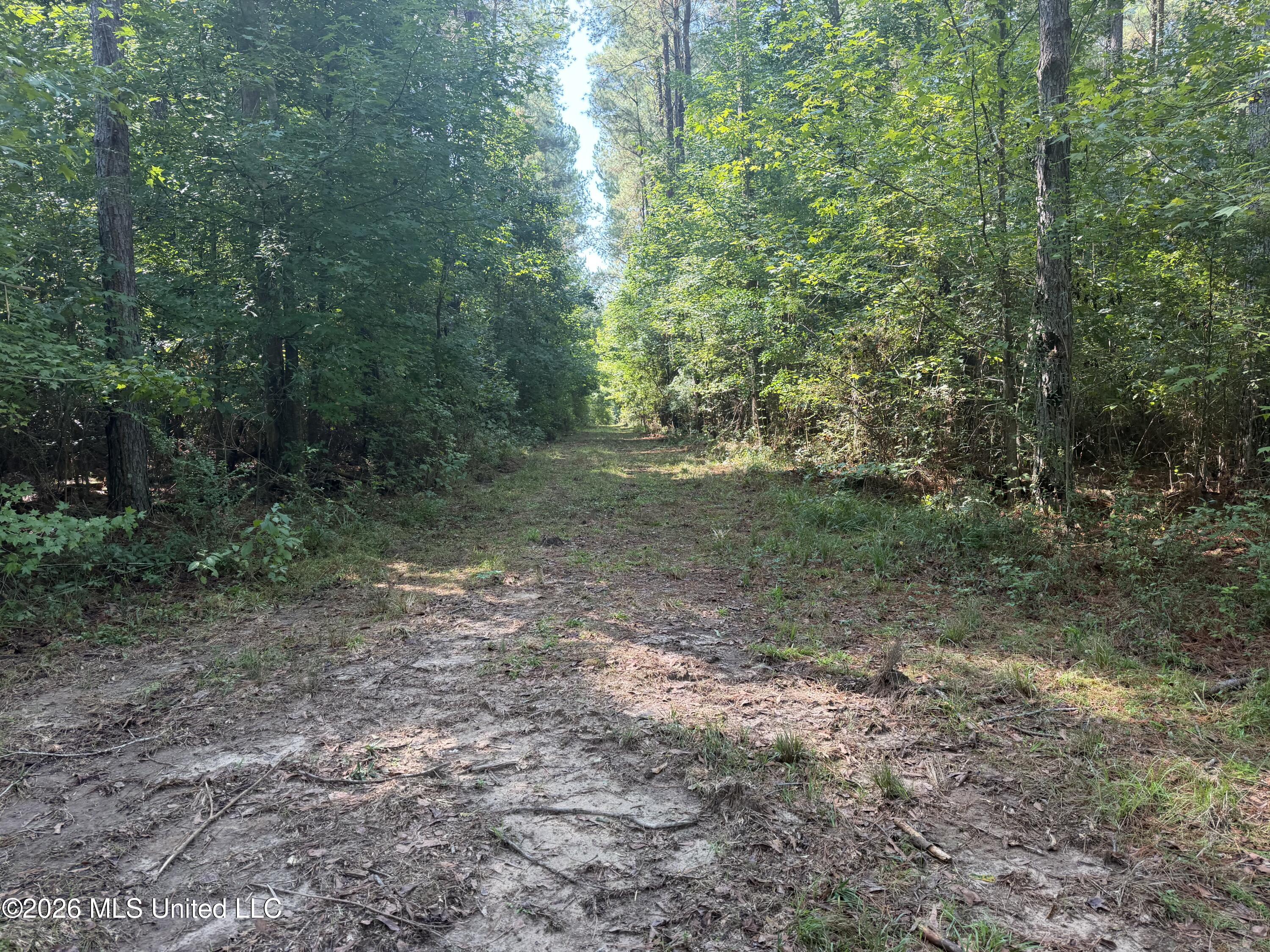 Mississippi 18 Property Photo 47