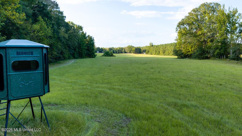 214 Cook Cobb Road Property Photo 6